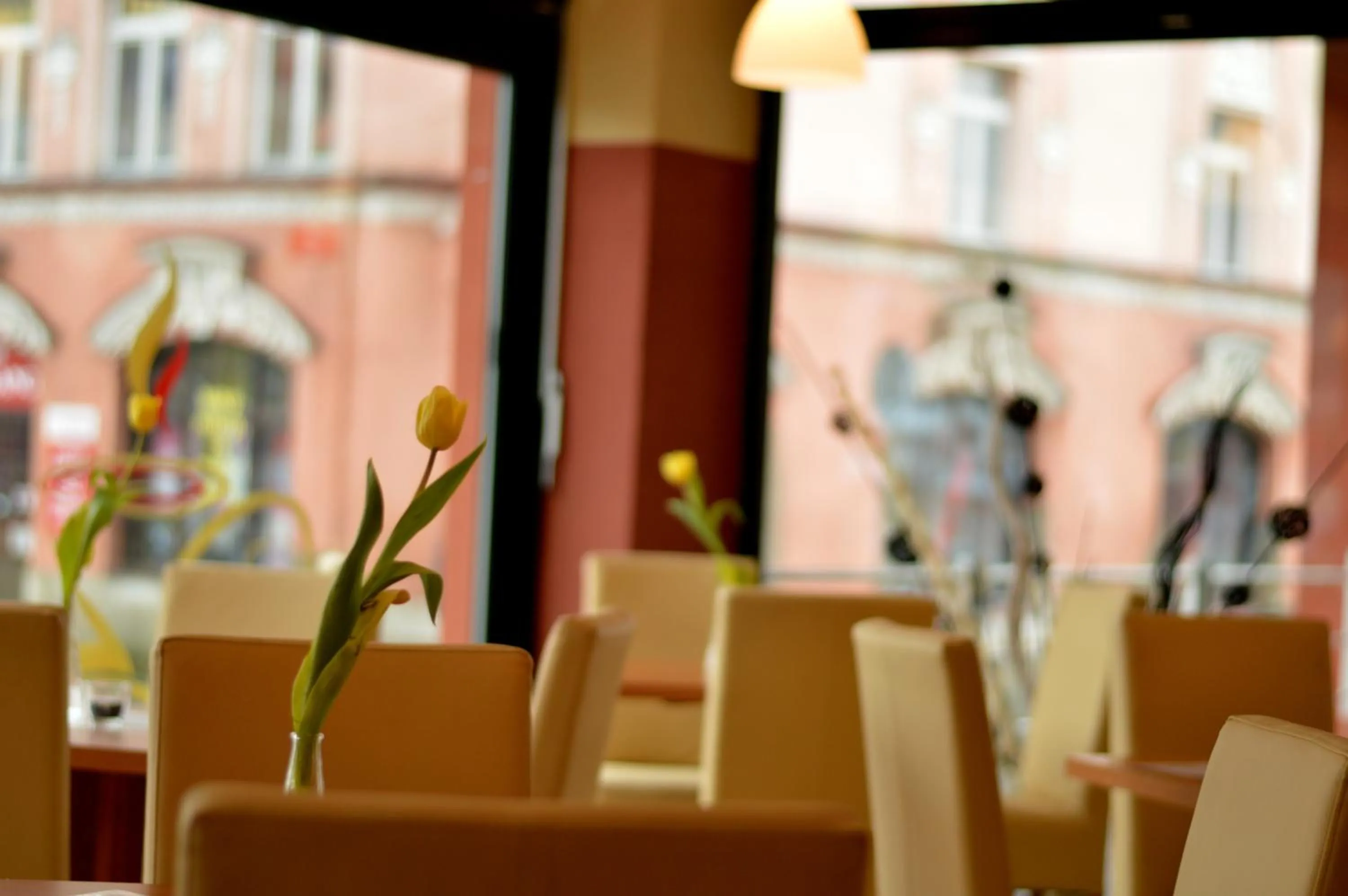 Restaurant/places to eat in Wellness Hotel Lužan