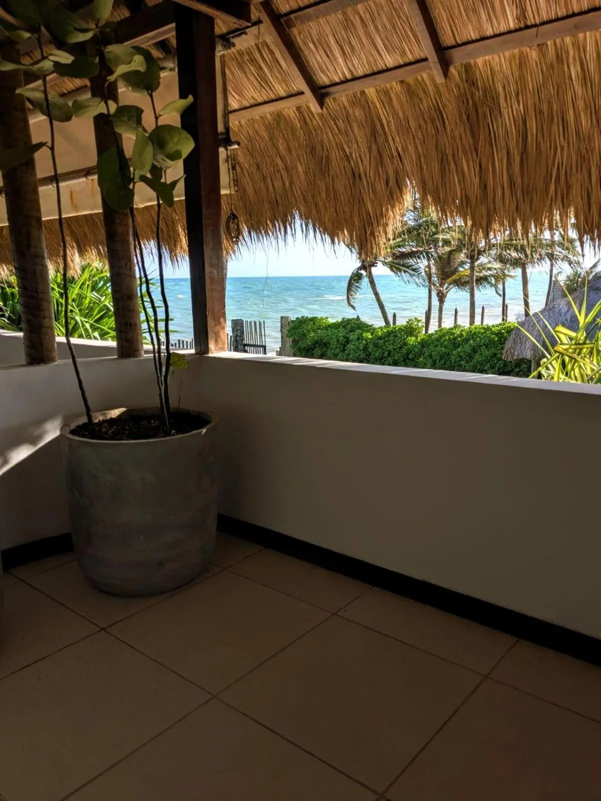 Natural landscape in Pousada Duna Paraiso Maceió