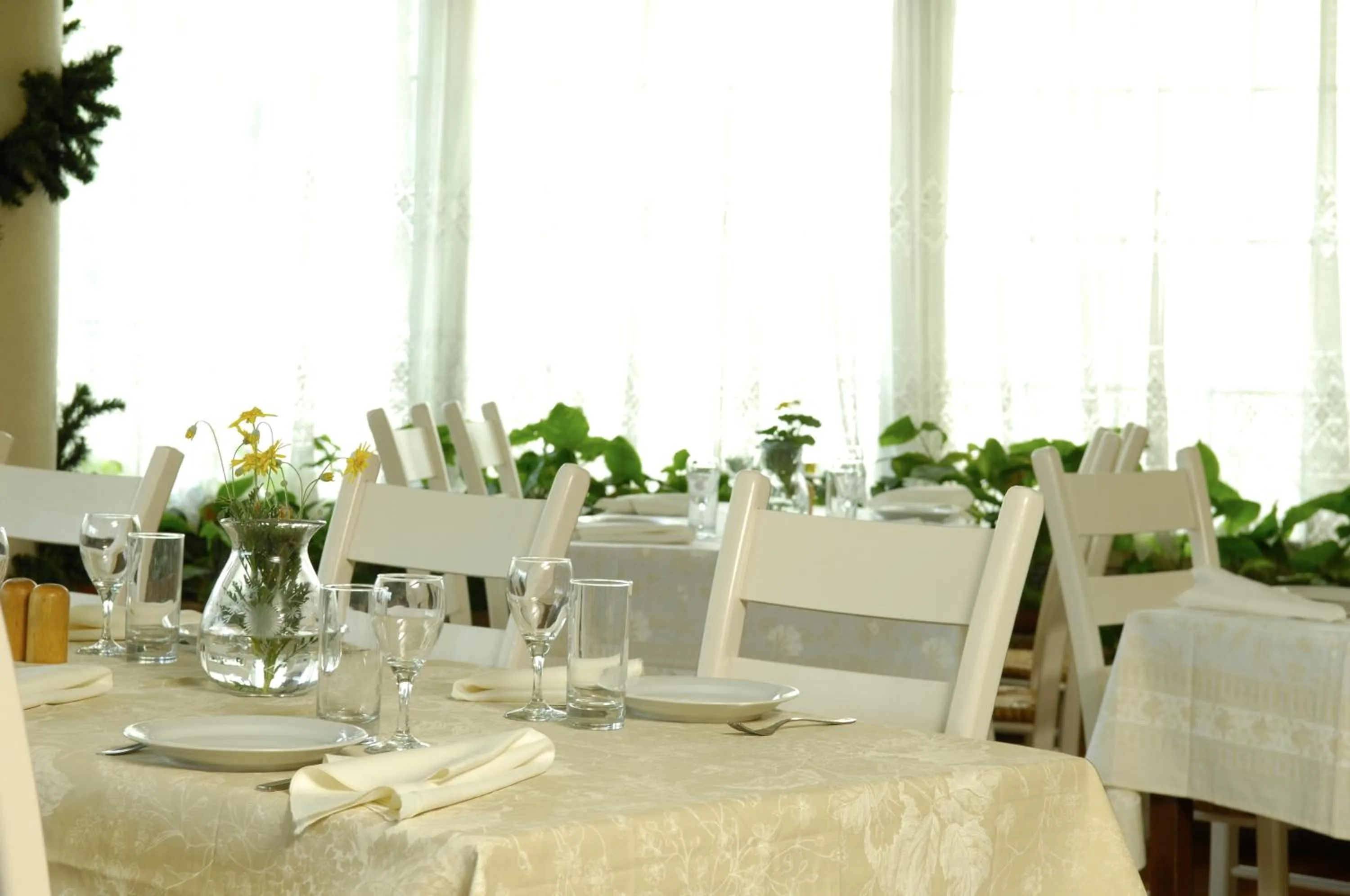 Restaurant/places to eat in Cleopatra Hotel