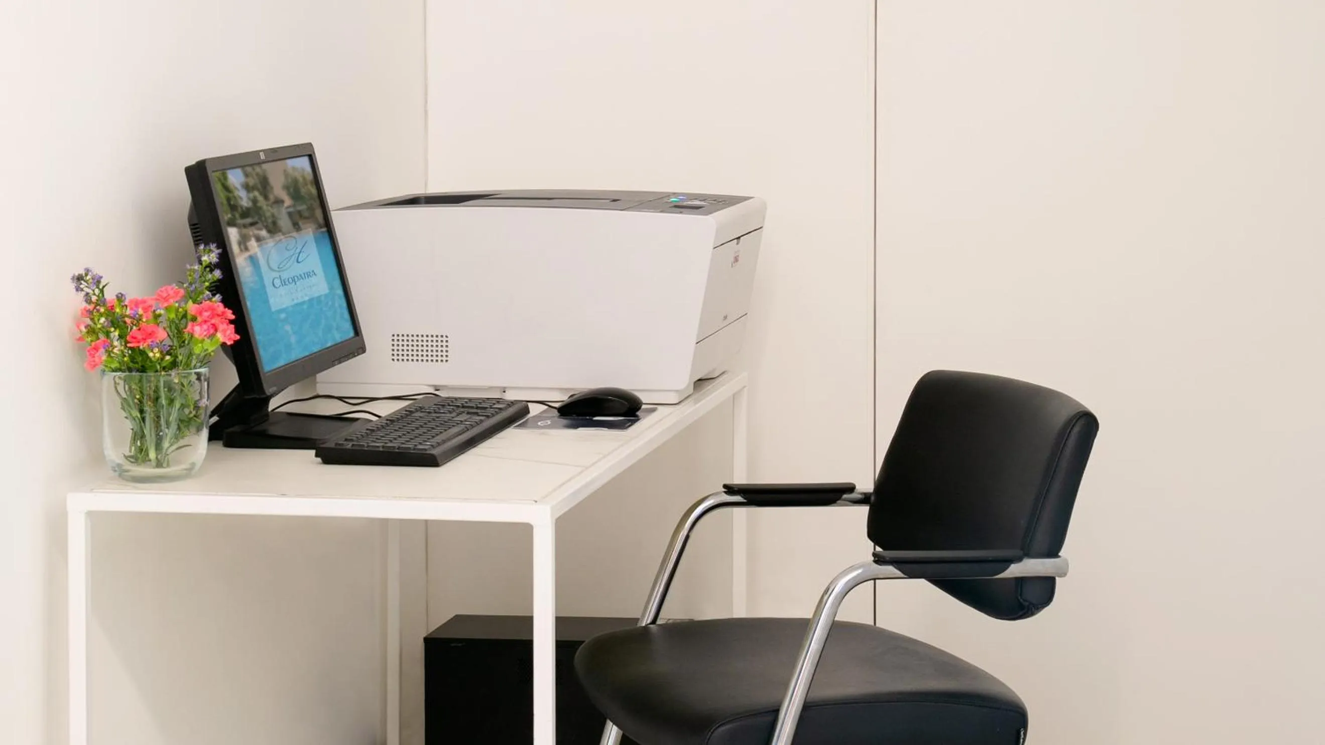 Business facilities in Cleopatra Hotel