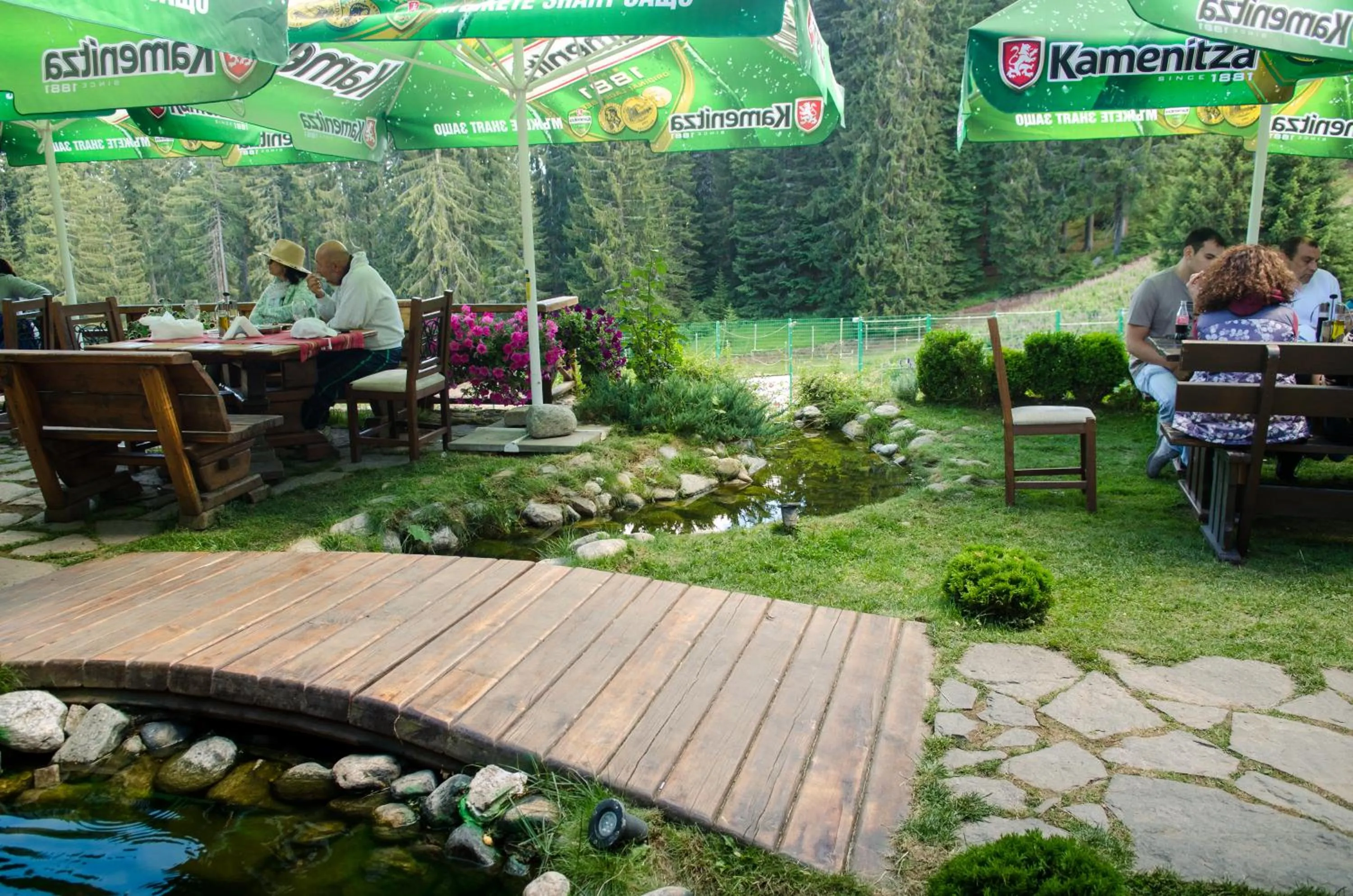 Summer in Complex Kamelia