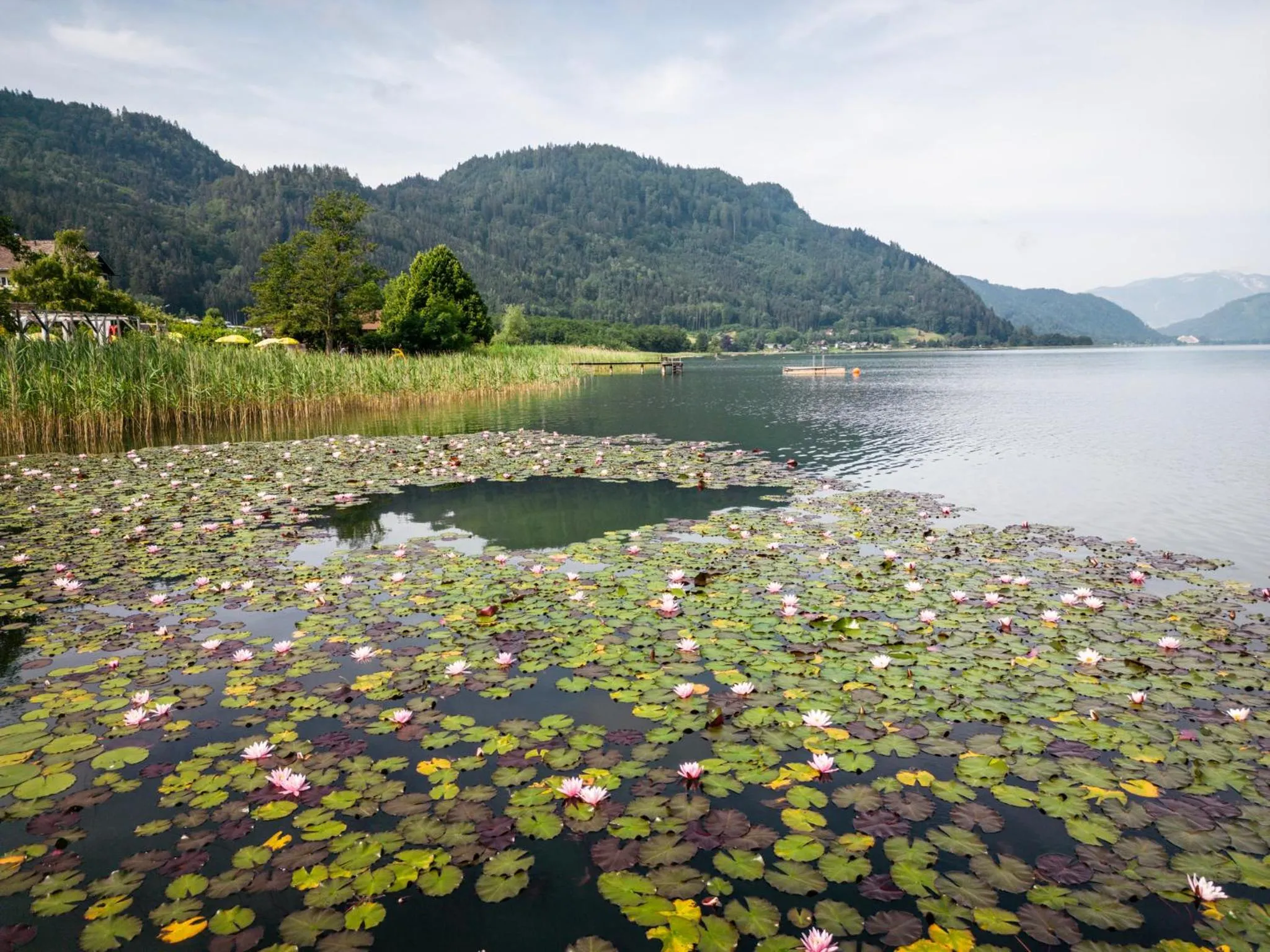 Natural landscape in Wellness Landhaus Parth