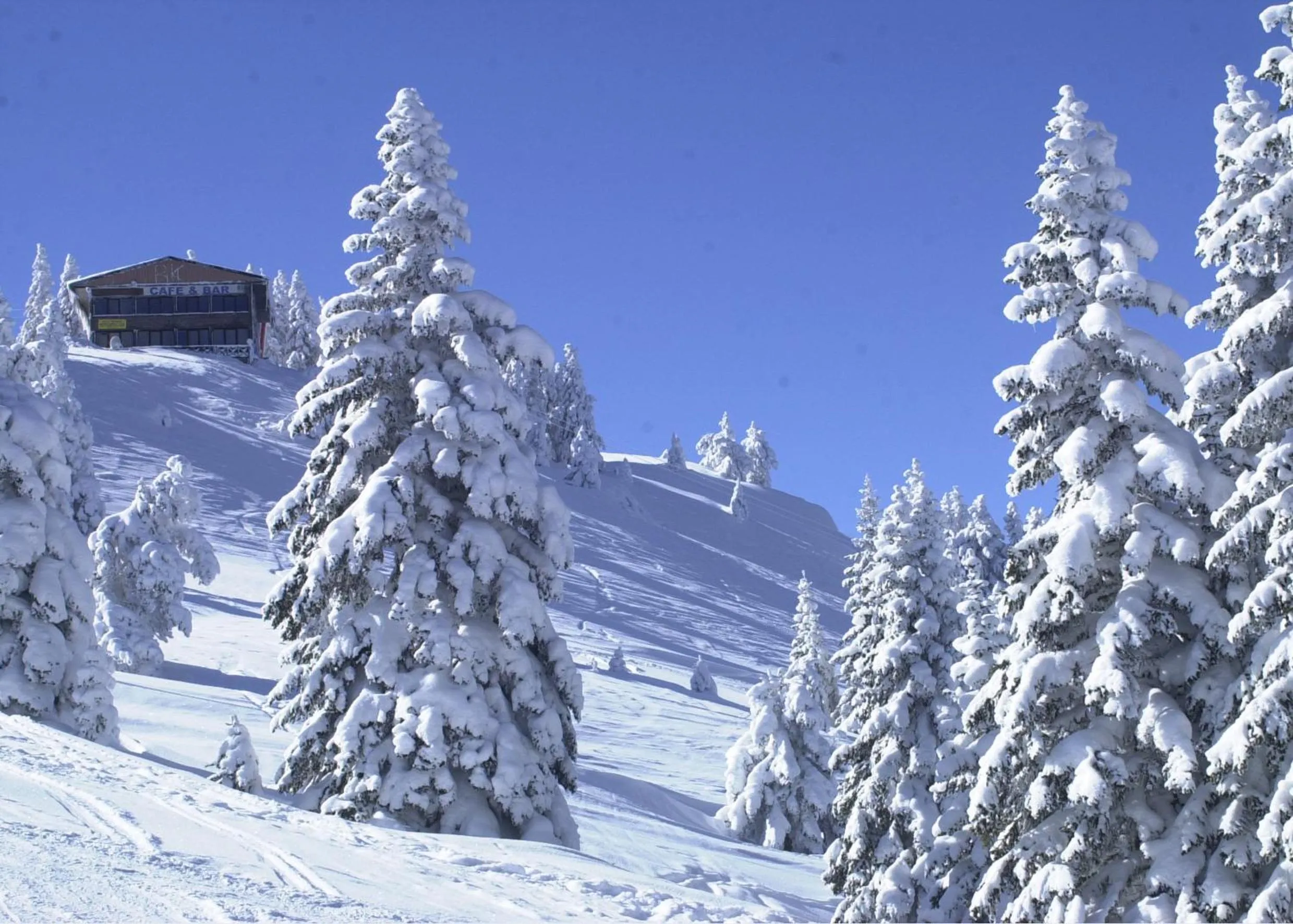 Natural landscape in Ilgaz Mountain Resort Hotel