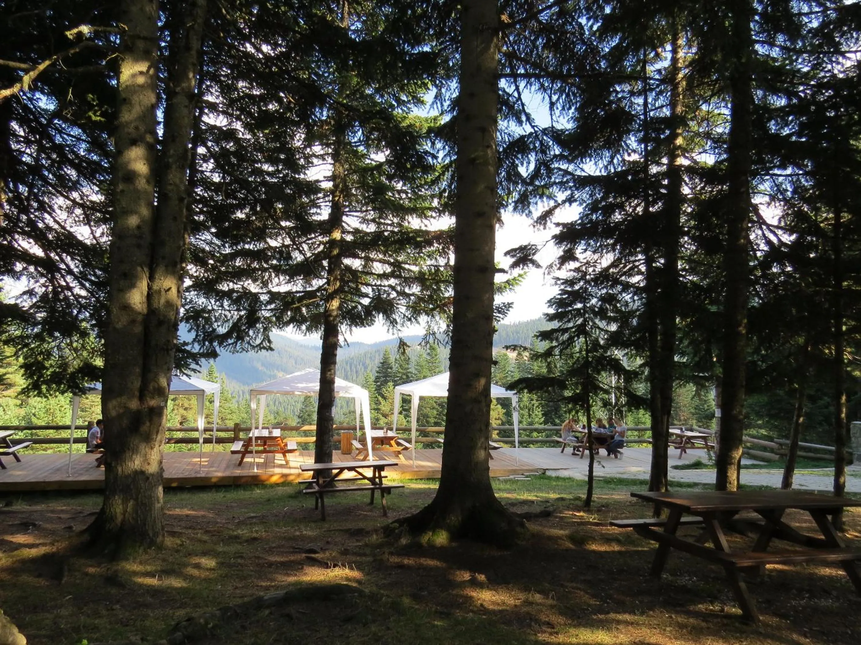 Garden in Ilgaz Mountain Resort Hotel