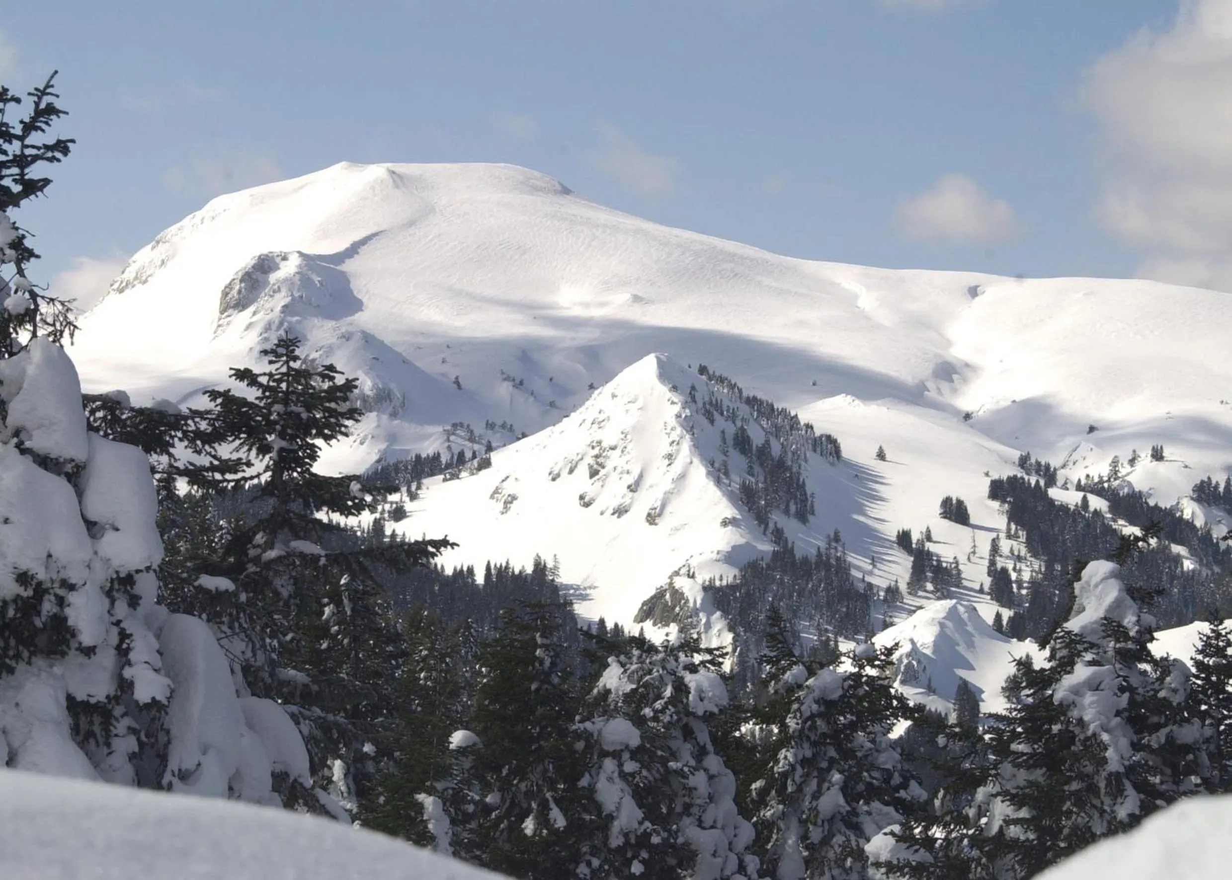 Natural landscape in Ilgaz Mountain Resort Hotel