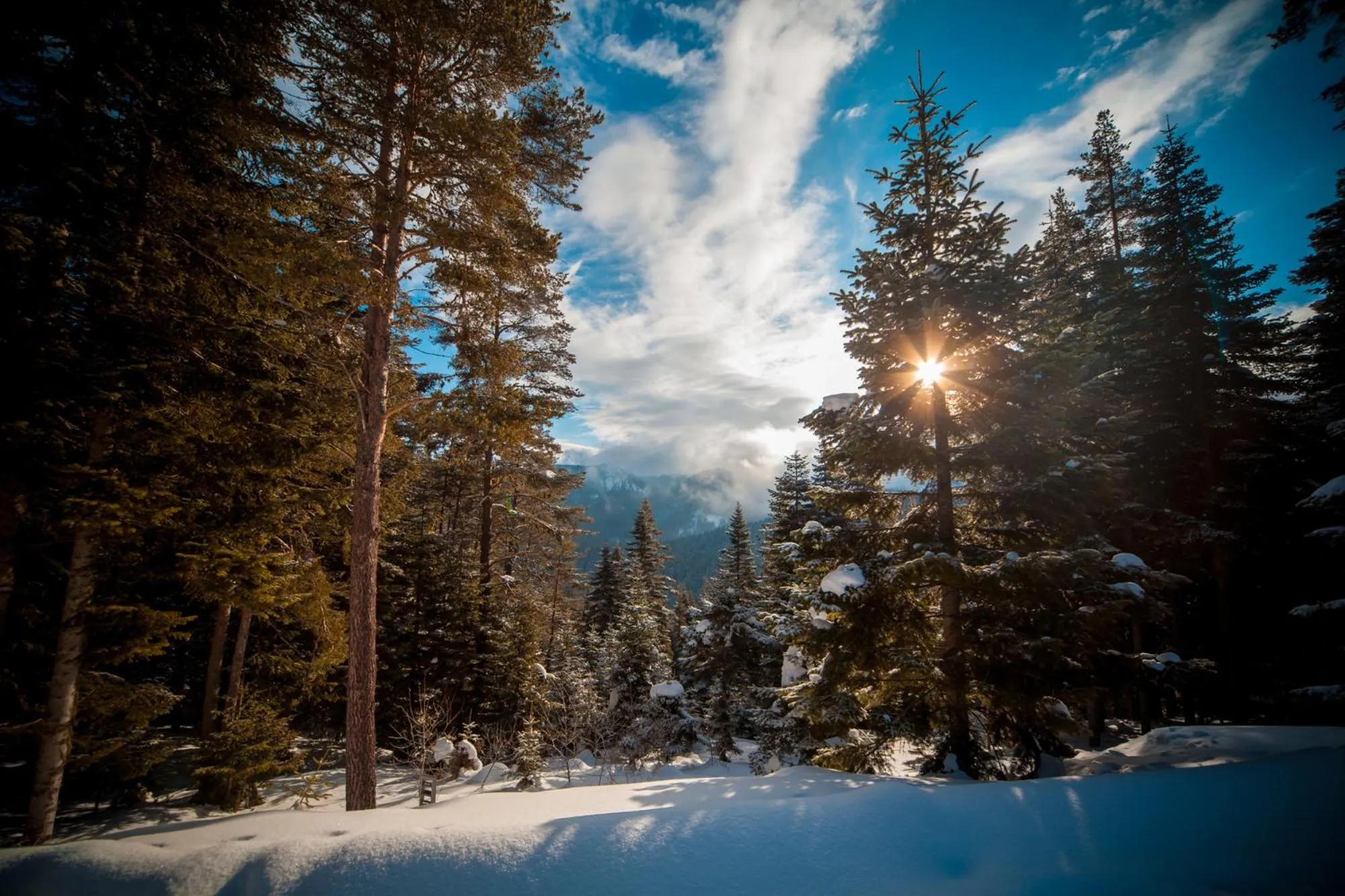 Garden in Ilgaz Mountain Resort Hotel