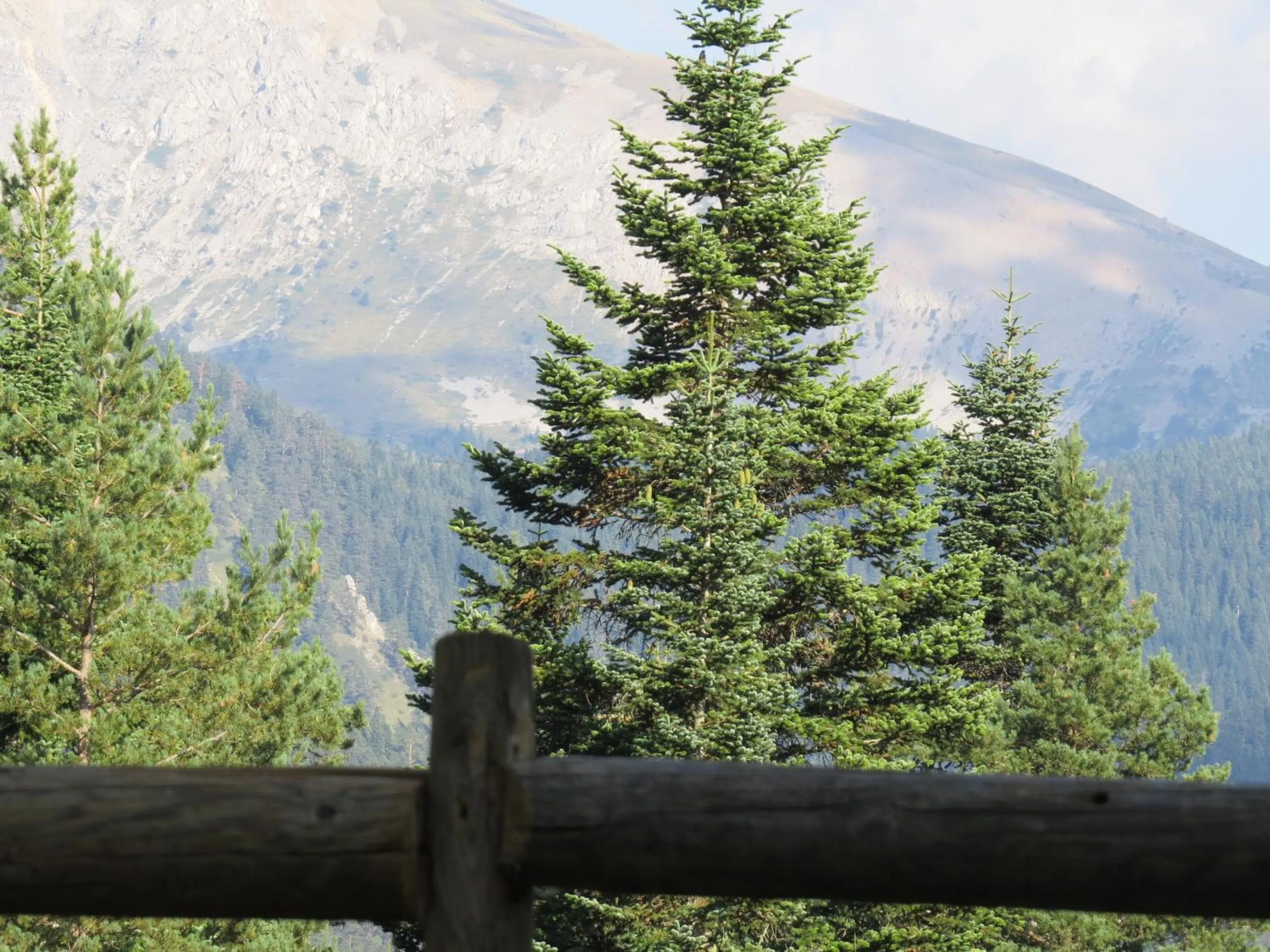 Natural landscape in Ilgaz Mountain Resort Hotel