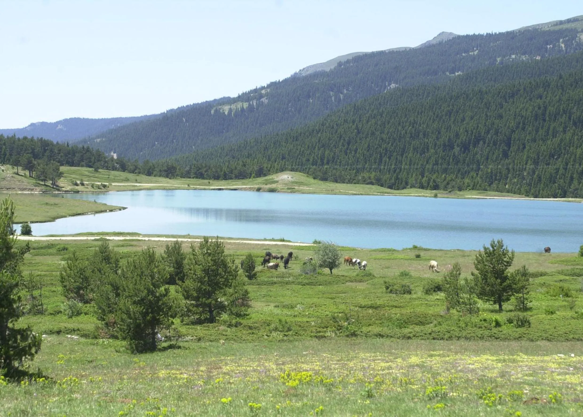 Natural landscape in Ilgaz Mountain Resort Hotel