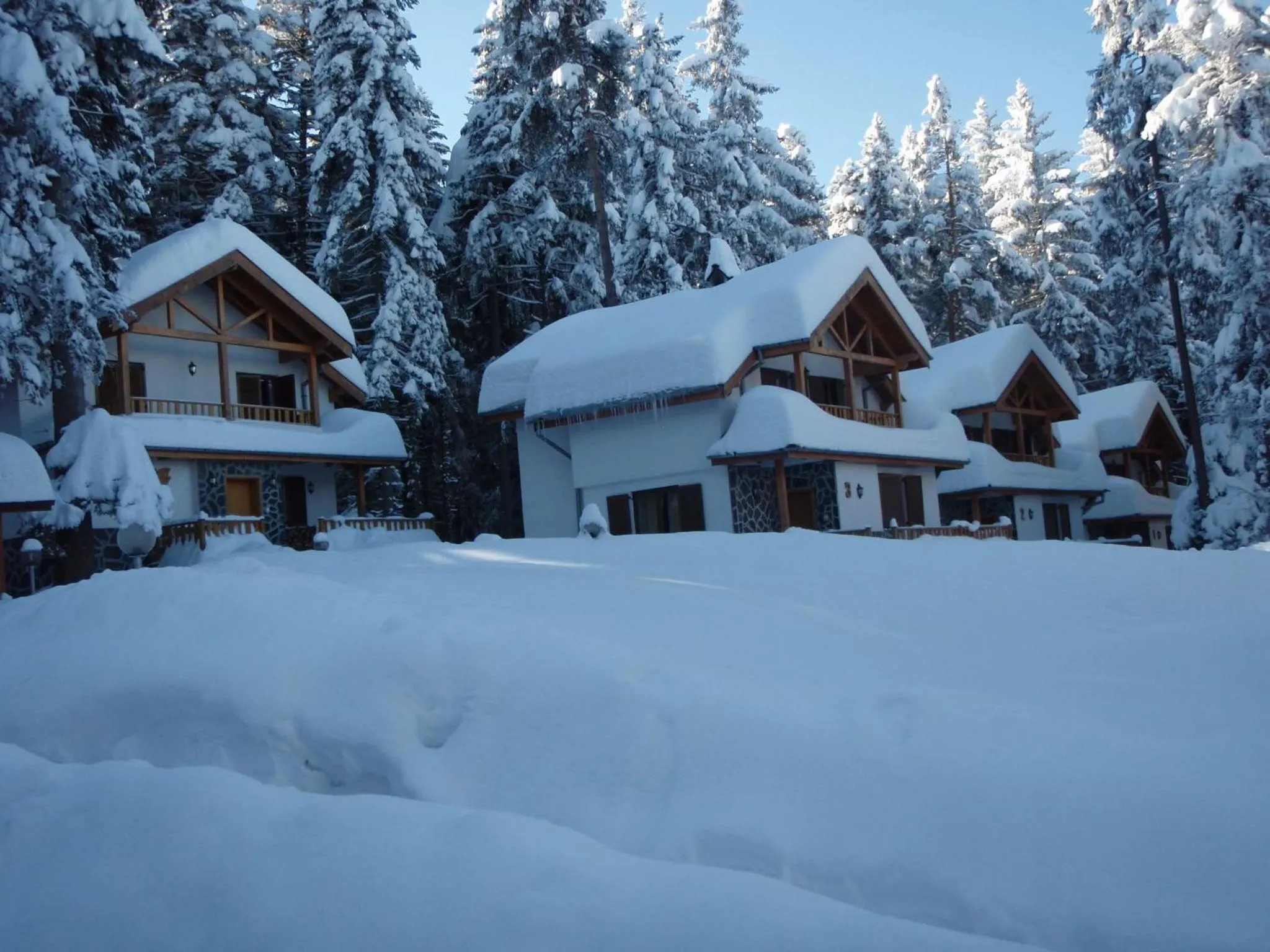 Facade/entrance in Saint George Borovets Hotel