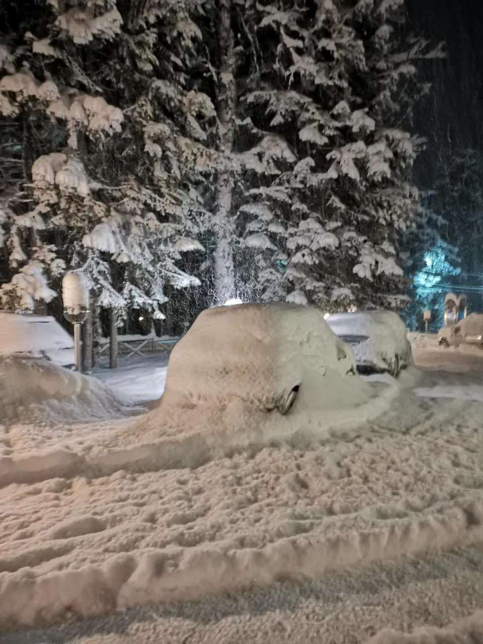 Saint George Borovets Hotel