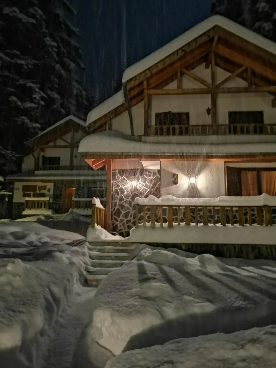 Saint George Borovets Hotel