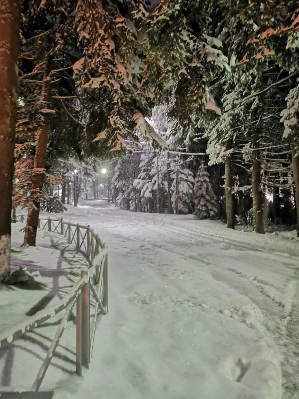 Saint George Borovets Hotel