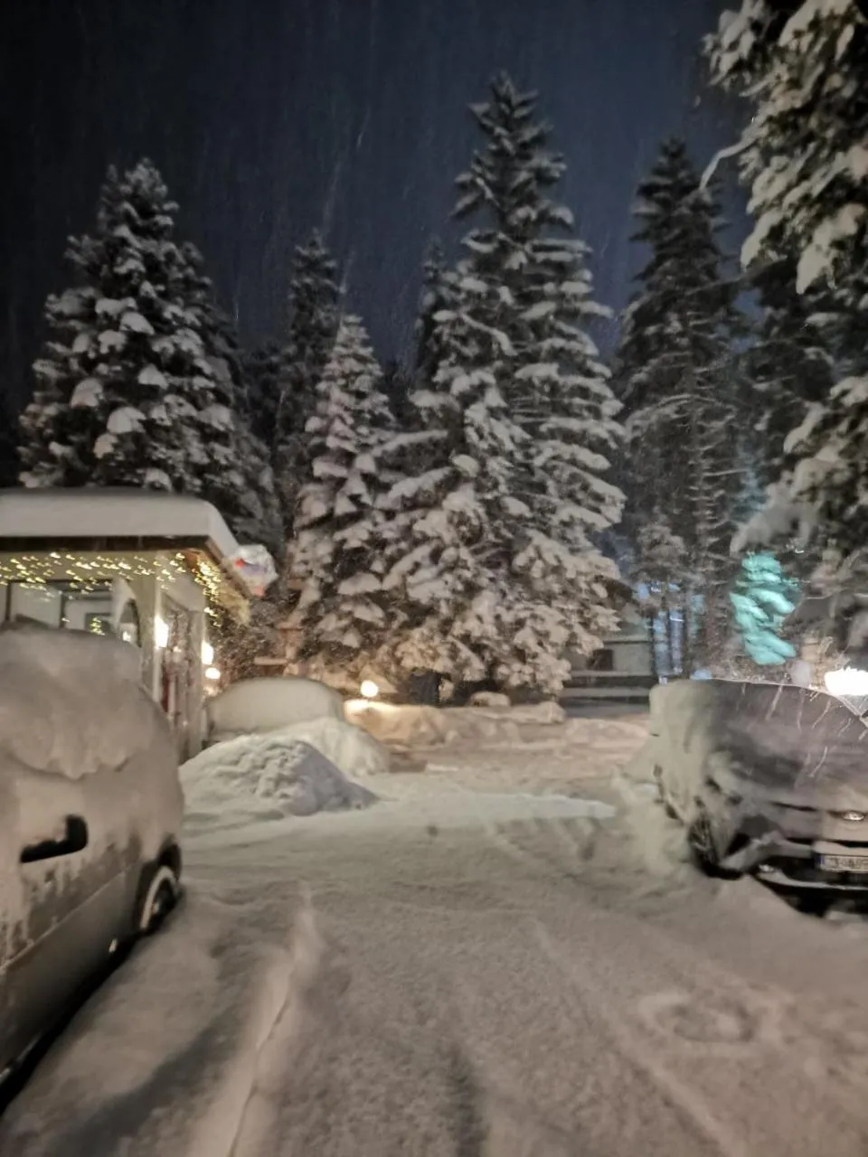 Saint George Borovets Hotel