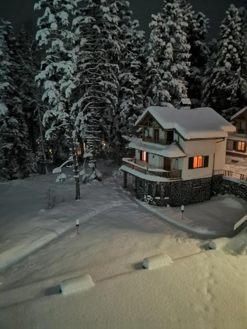 Saint George Borovets Hotel