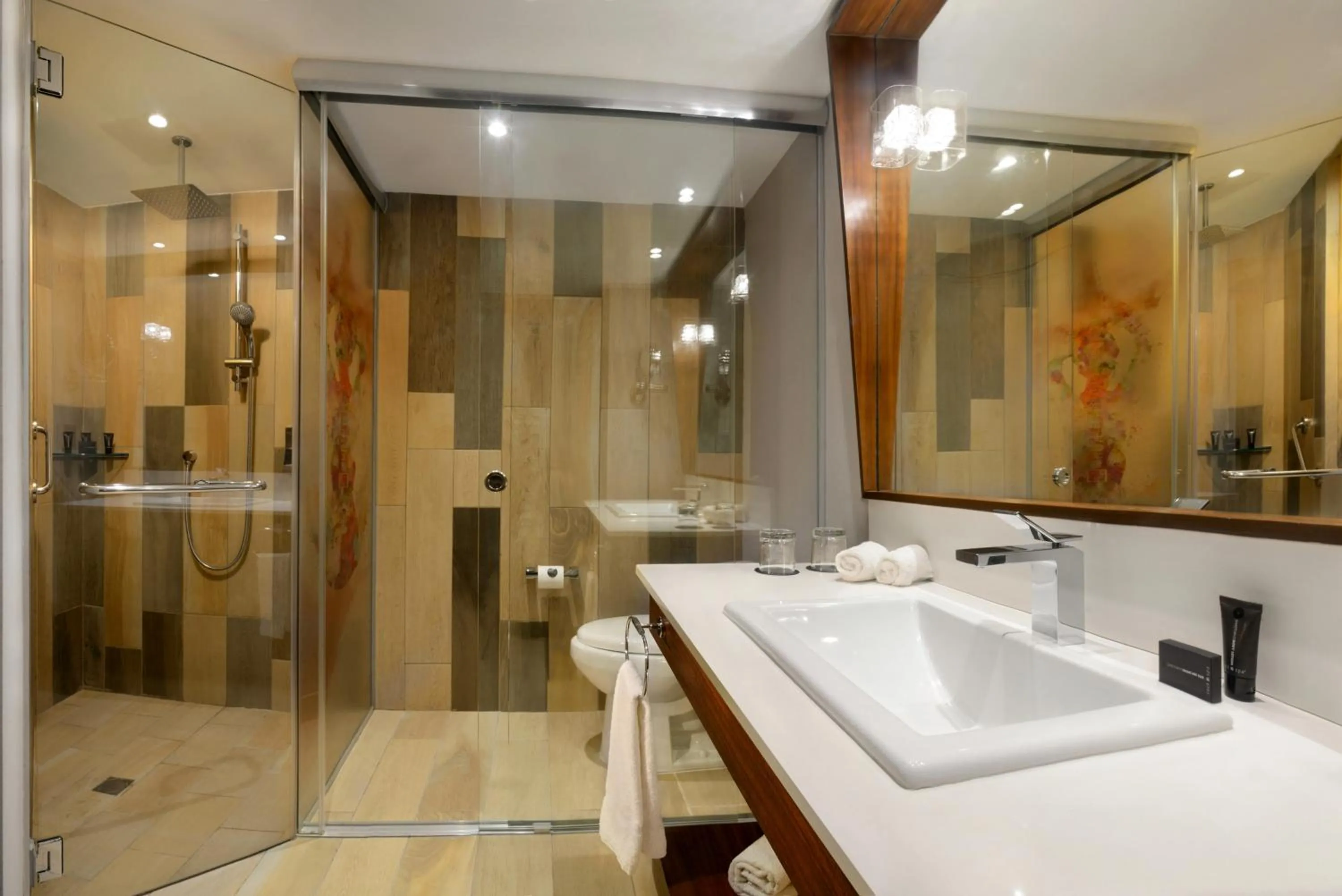 Shower in Hard Rock Hotel Guadalajara