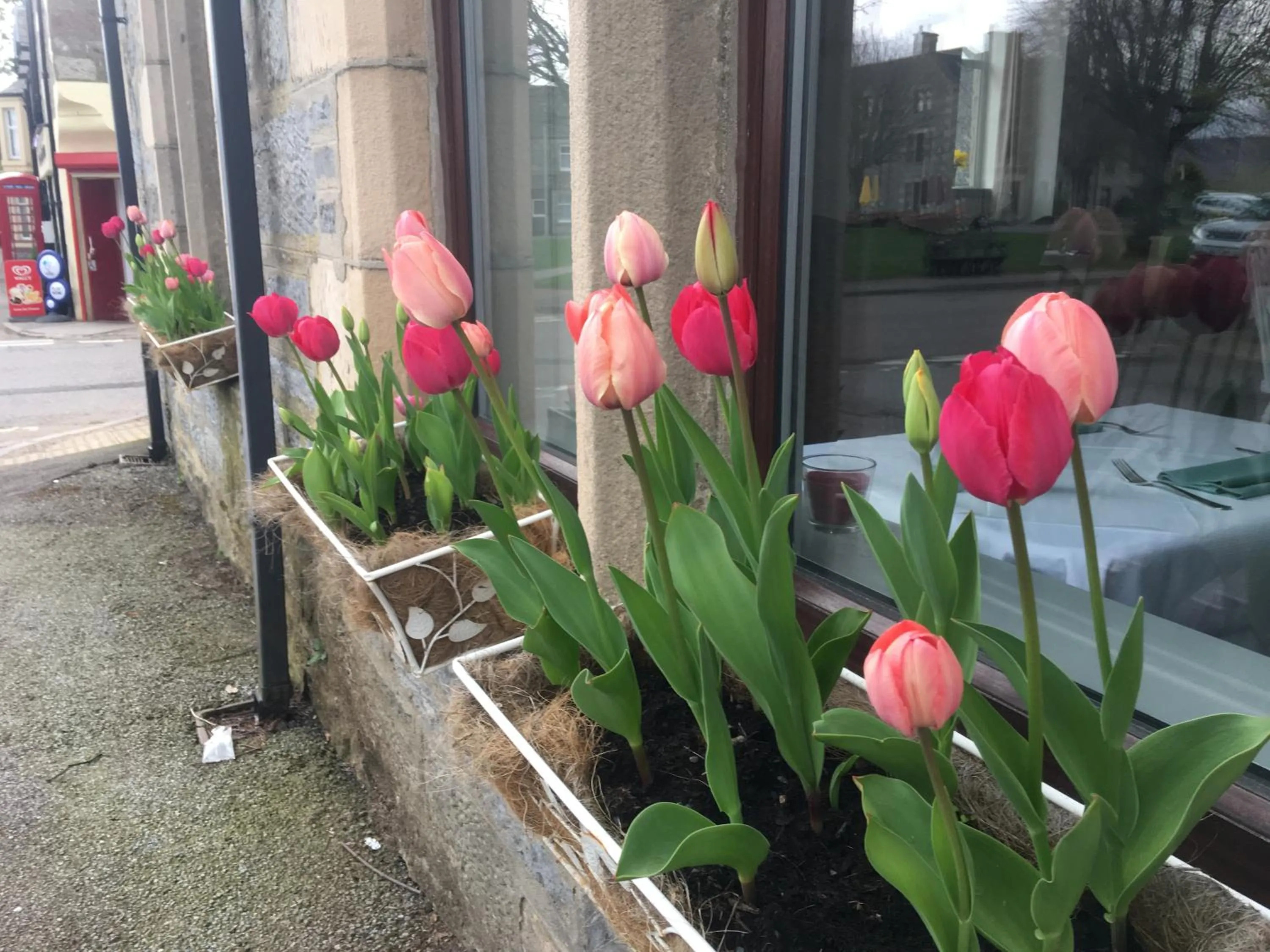 Property building in Hotel Square