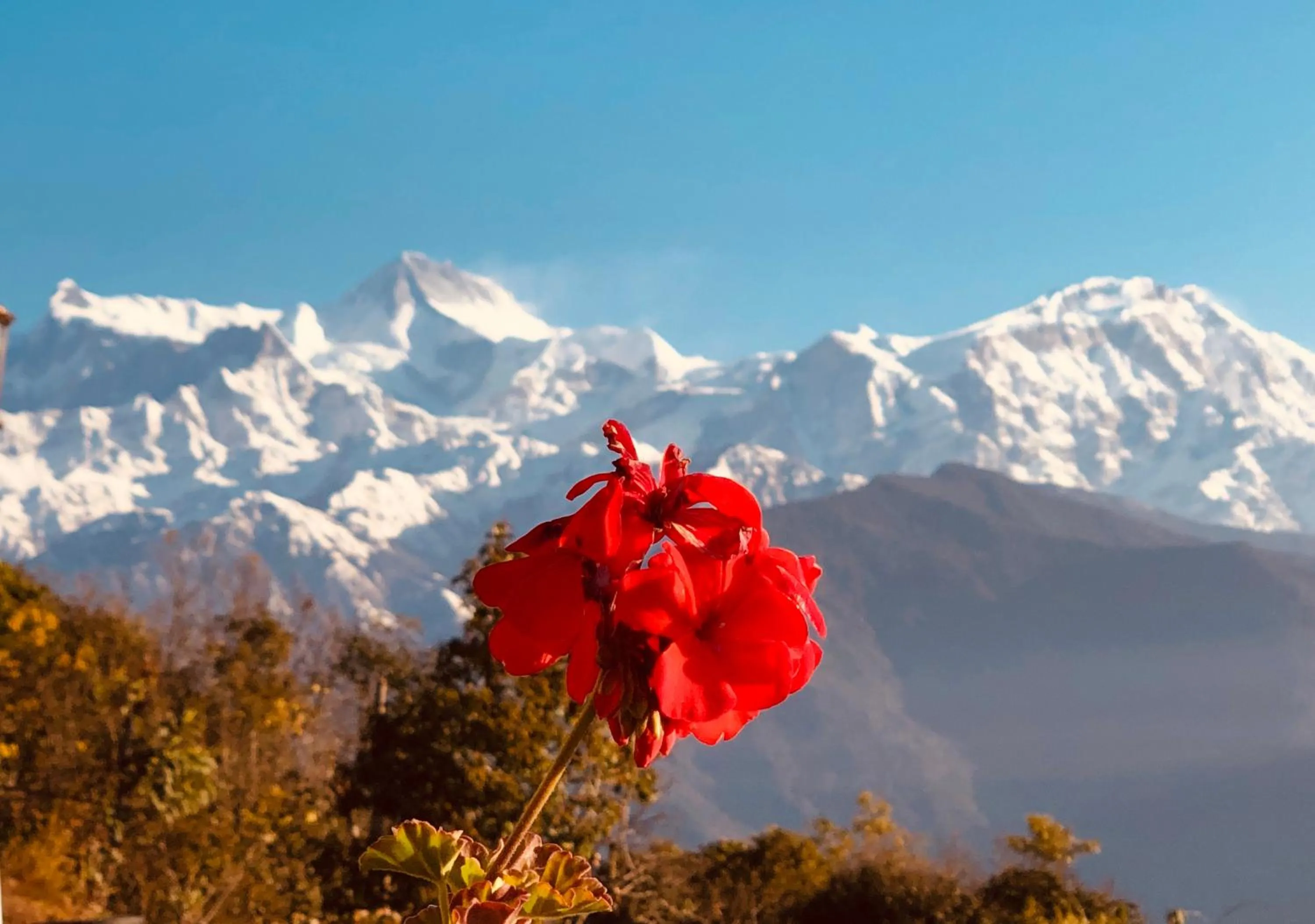 Hotel Pristine Himalaya