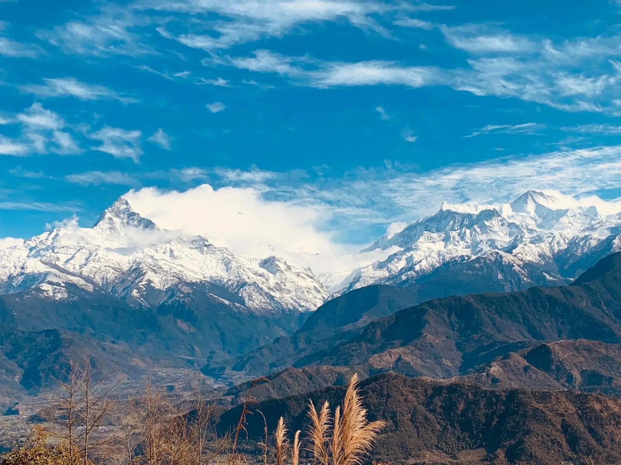 Hotel Pristine Himalaya