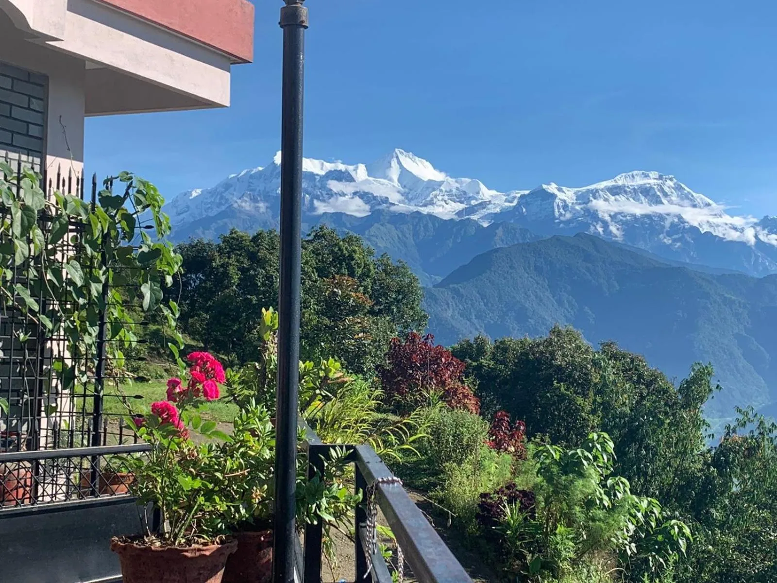 Hotel Pristine Himalaya