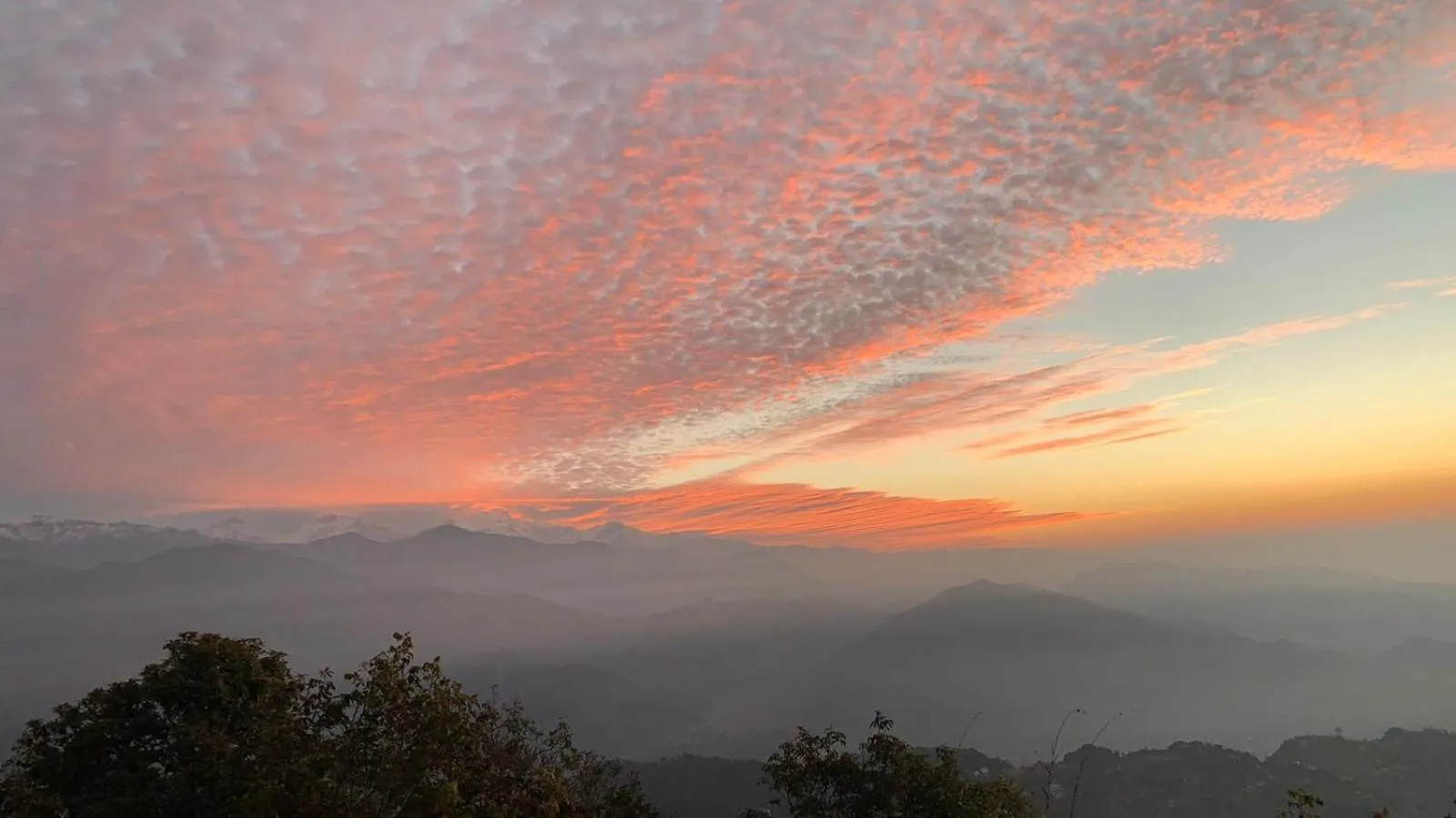 Hotel Pristine Himalaya