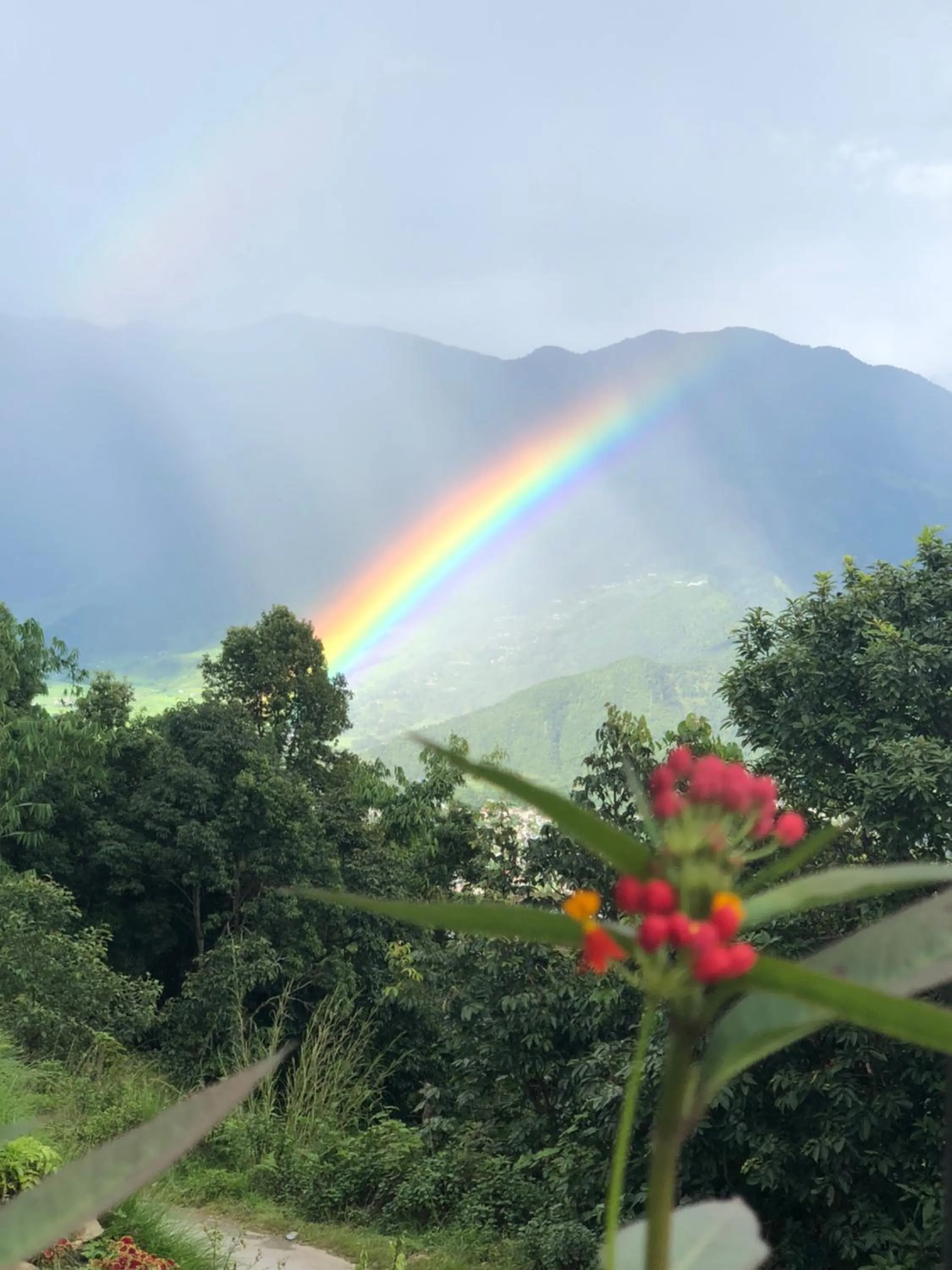 Garden in Hotel Pristine Himalaya