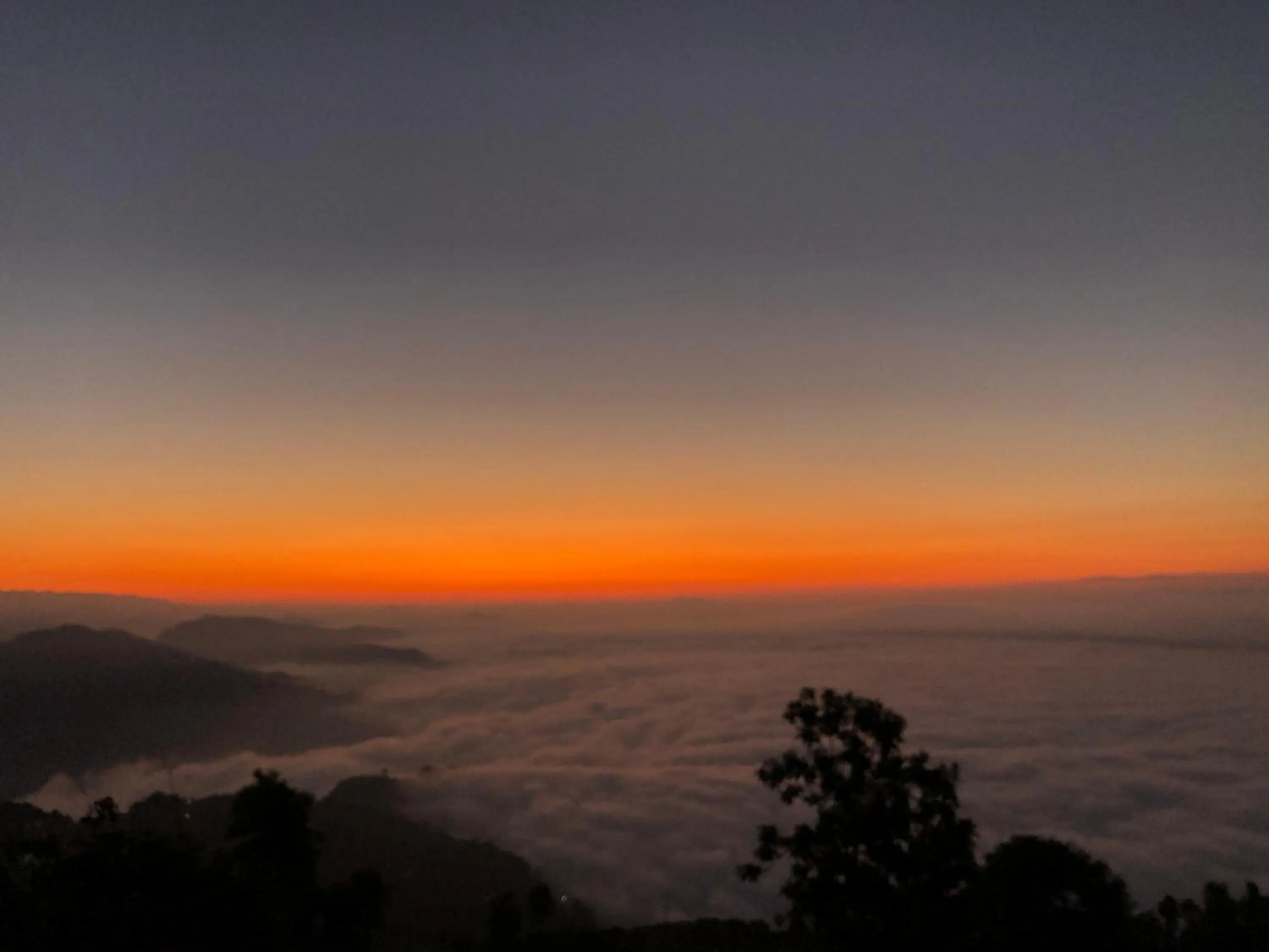 Hotel Pristine Himalaya