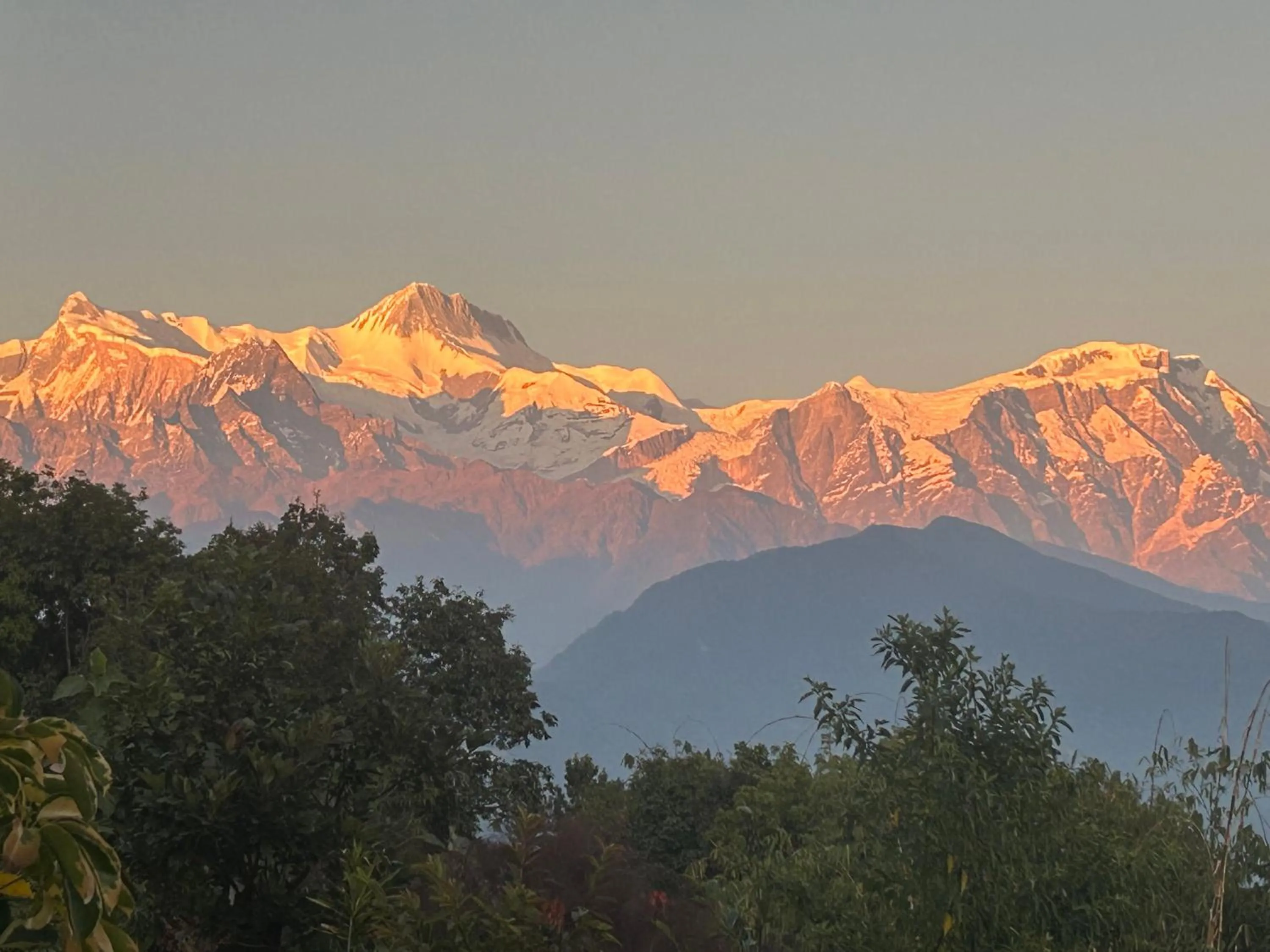 Hotel Pristine Himalaya