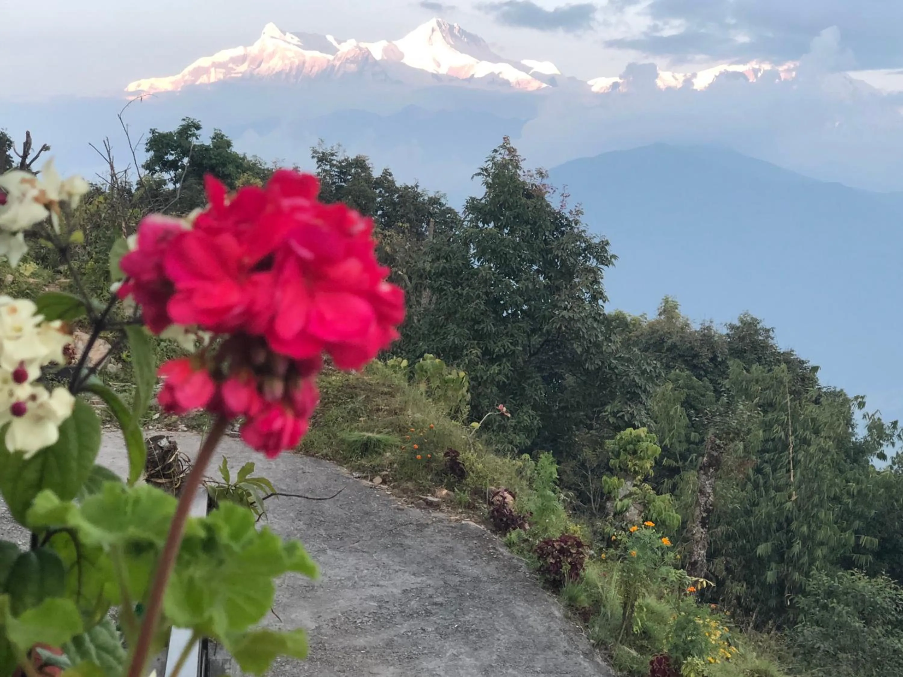 Mountain view in Hotel Pristine Himalaya