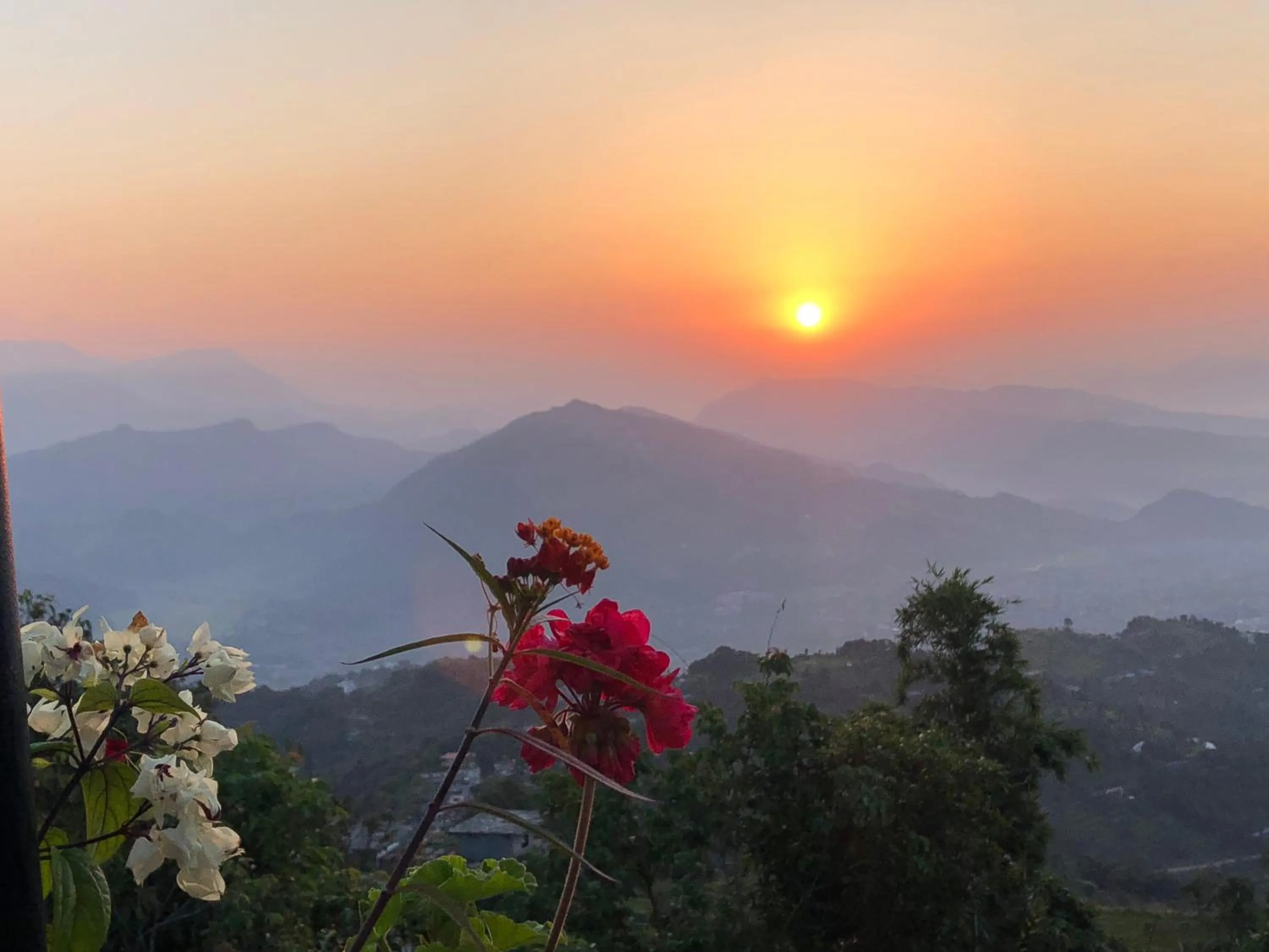 Hotel Pristine Himalaya