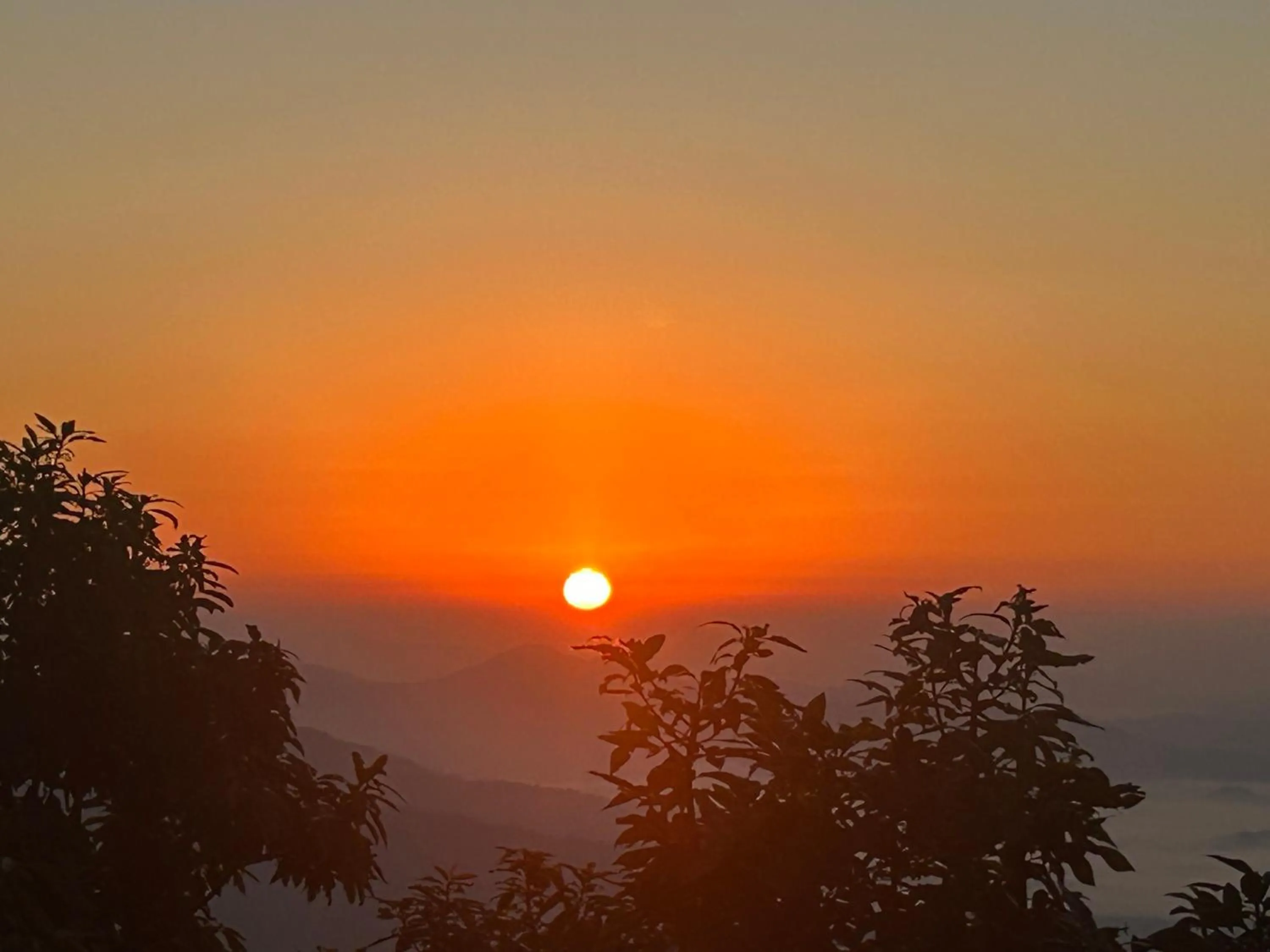 Hotel Pristine Himalaya