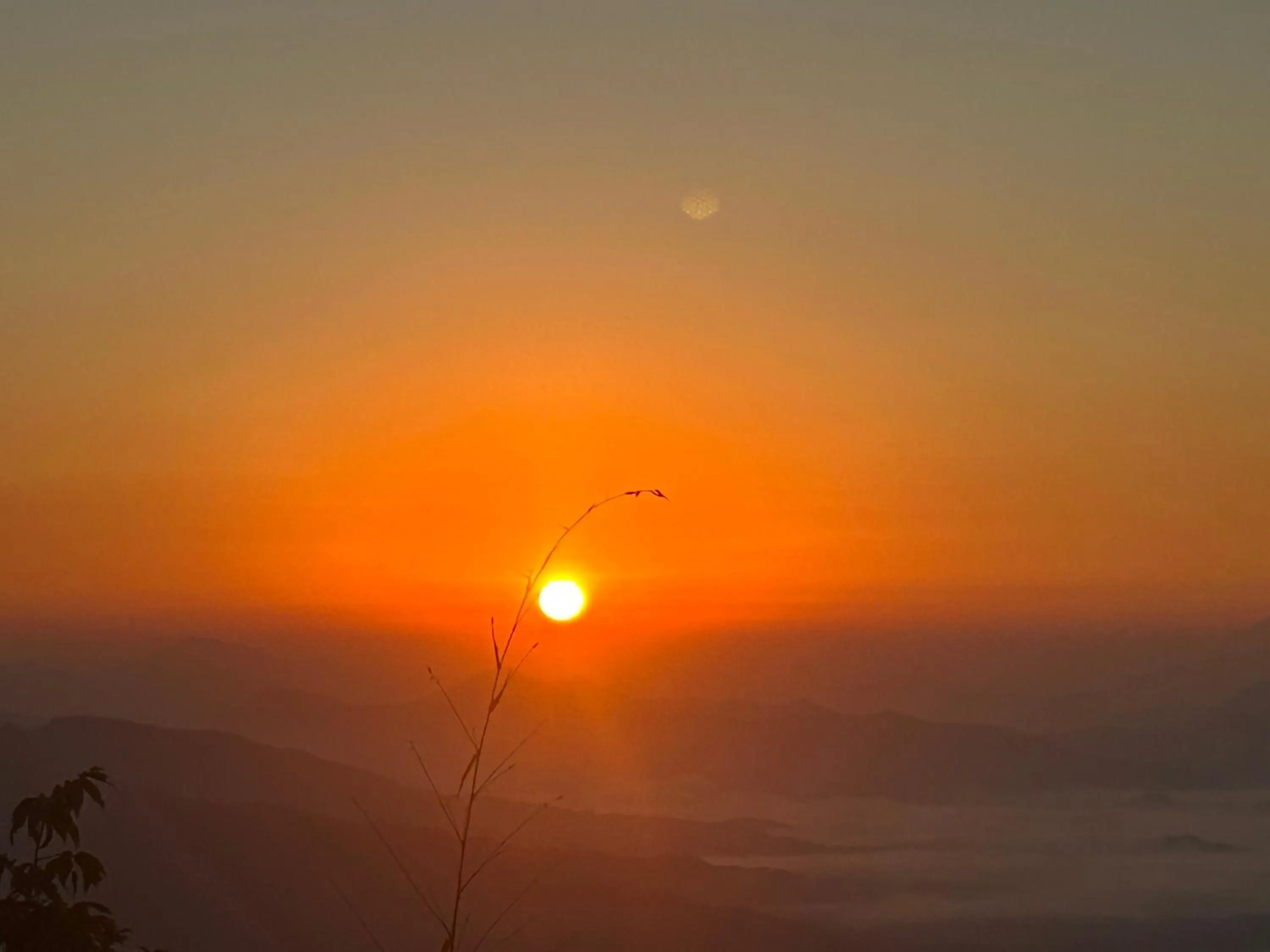 Hotel Pristine Himalaya