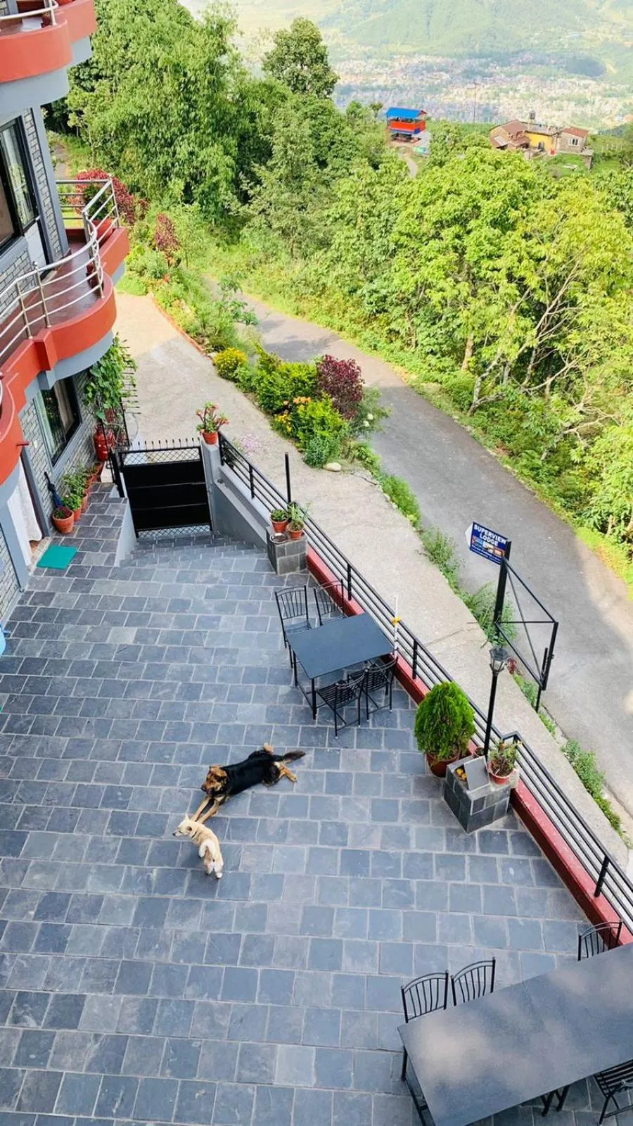 Hotel Pristine Himalaya