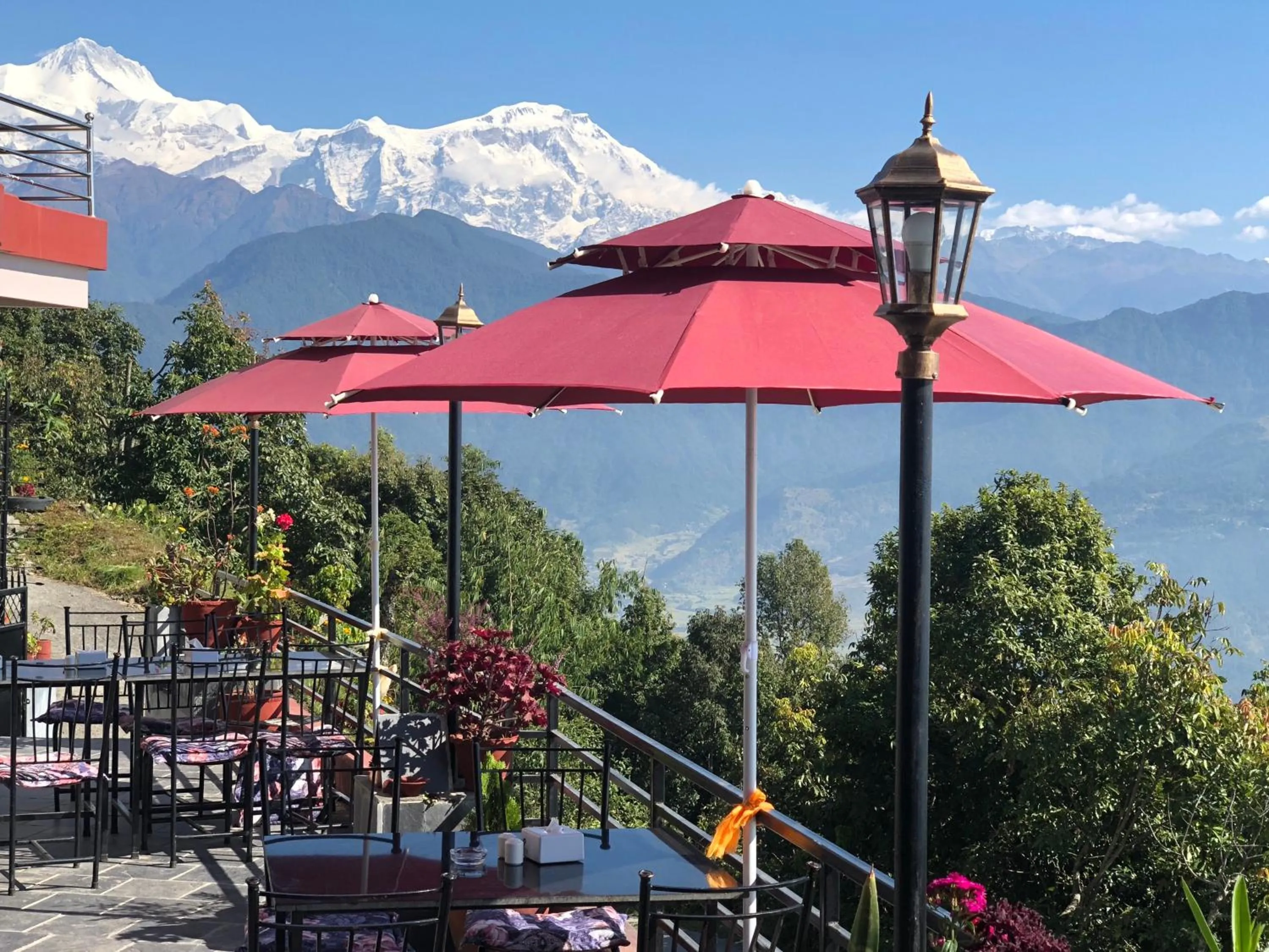 Restaurant/places to eat in Hotel Pristine Himalaya
