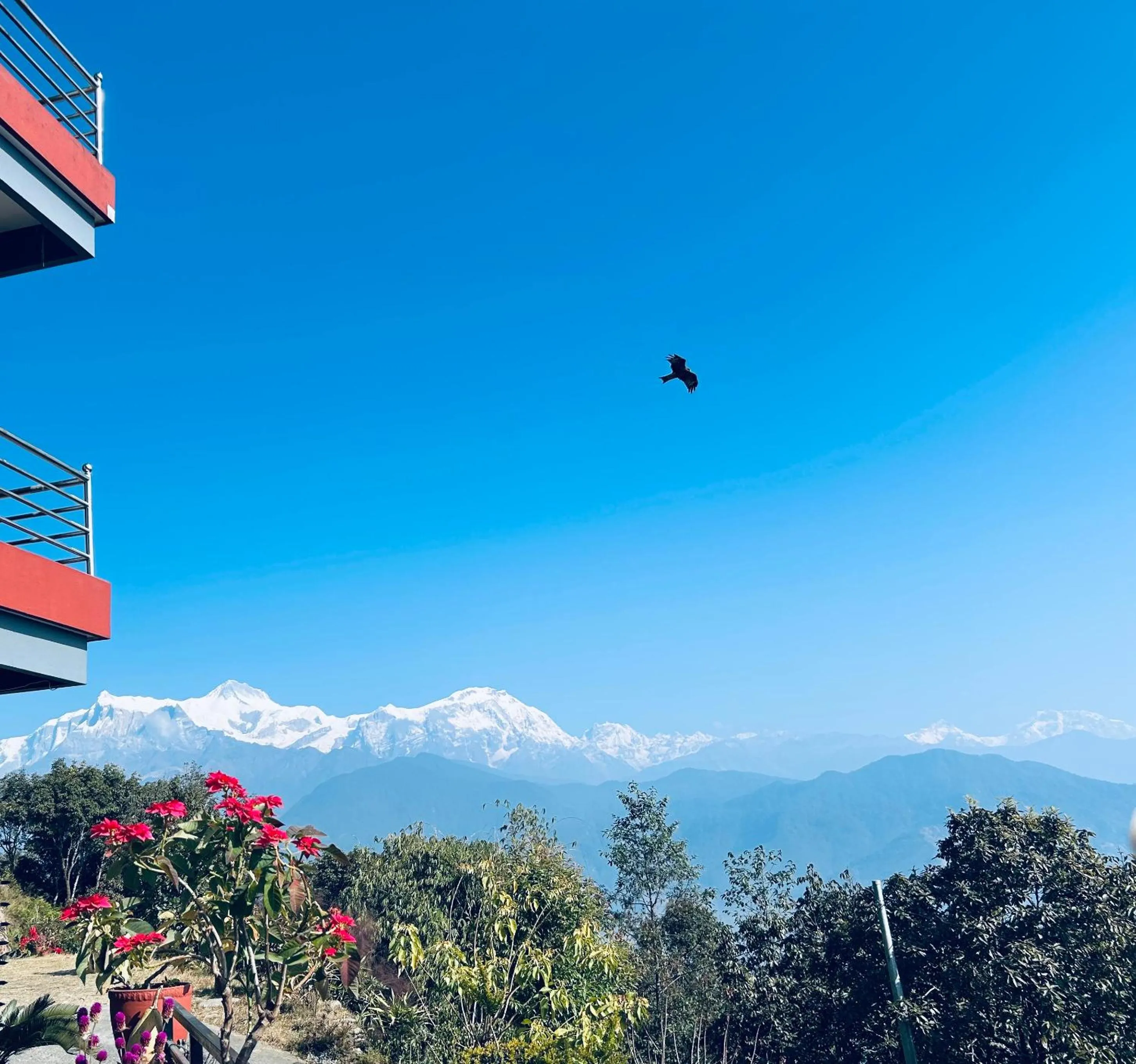 Hotel Pristine Himalaya