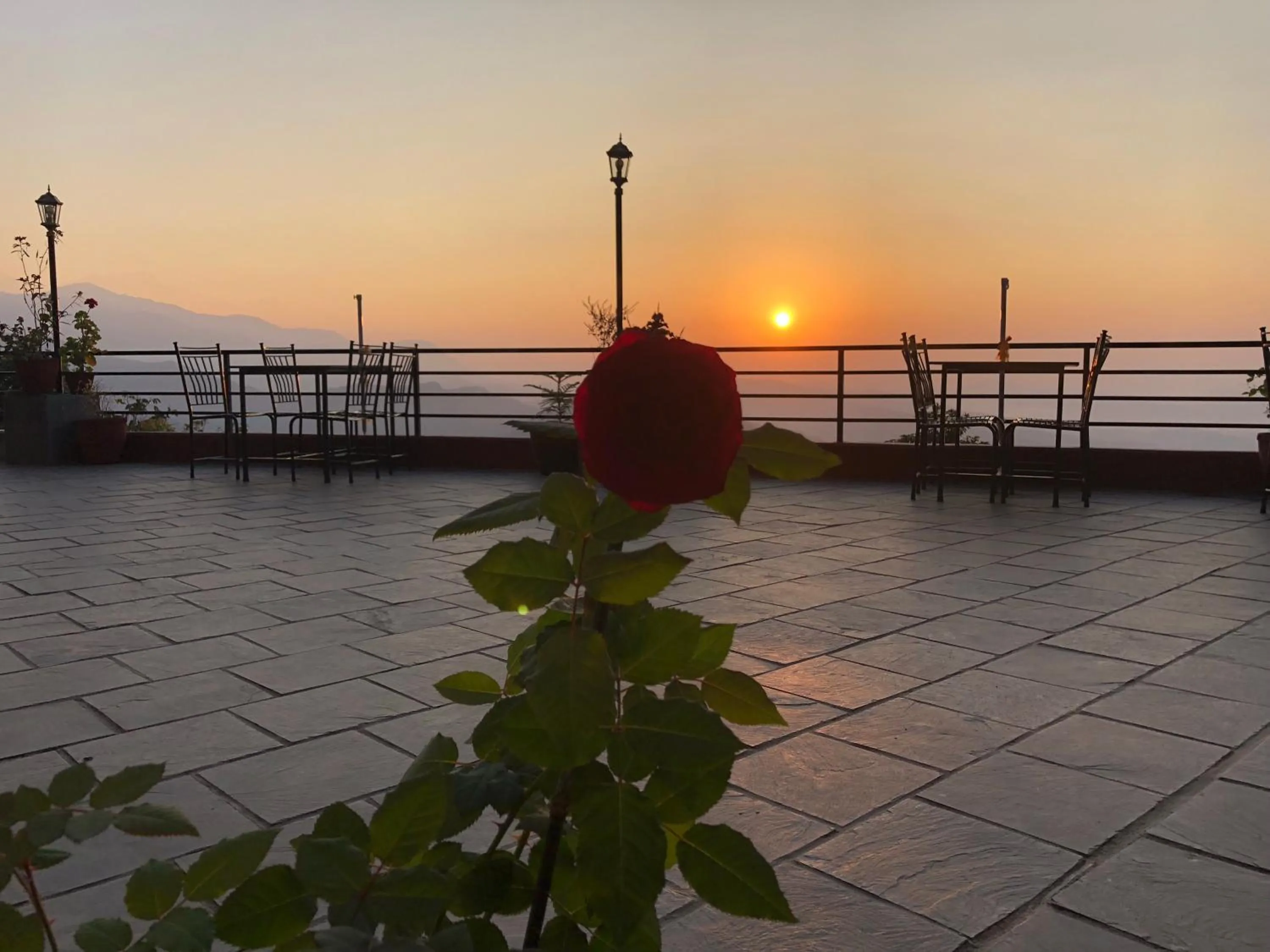 Hotel Pristine Himalaya