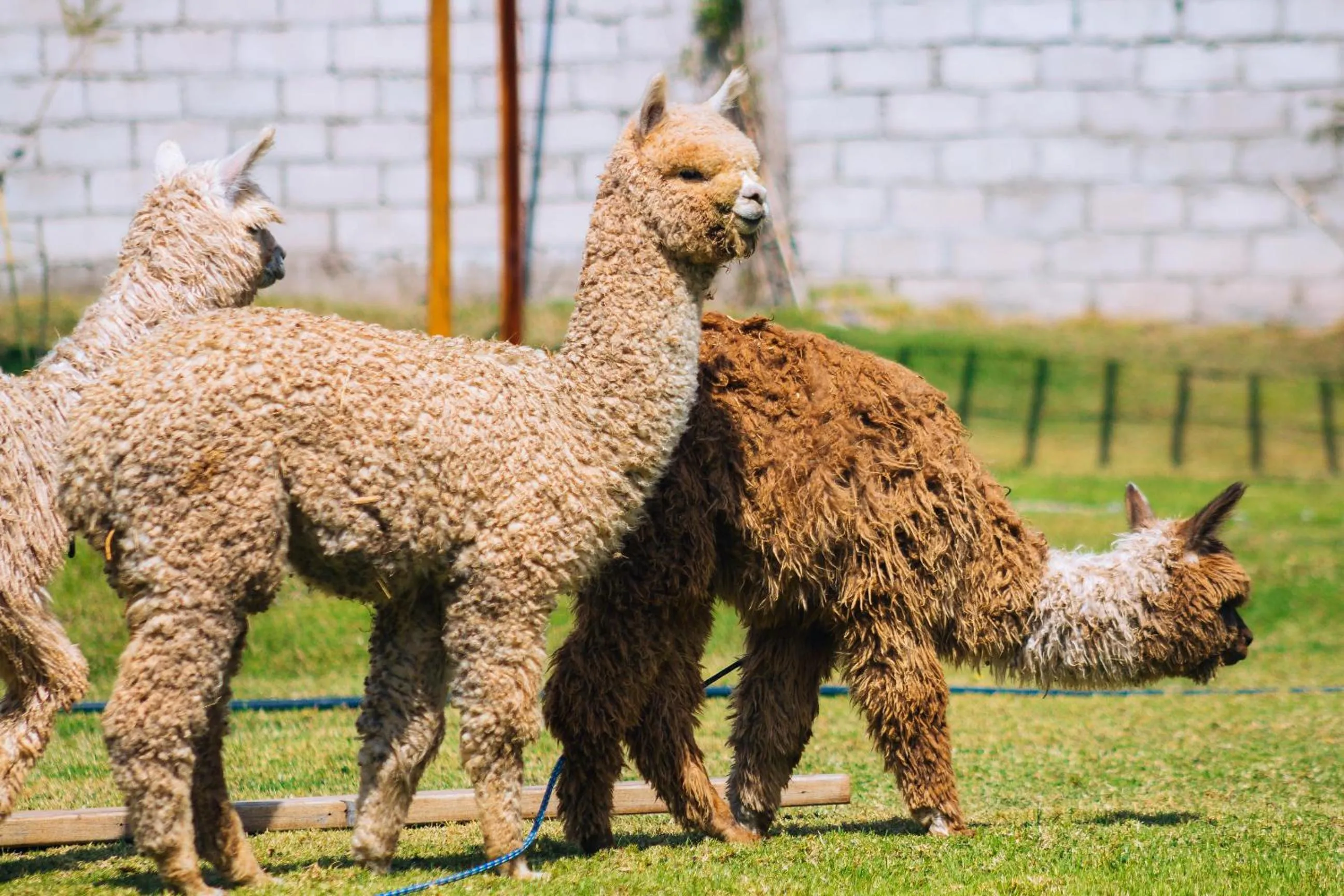 Hacienda del Valle Sagrado