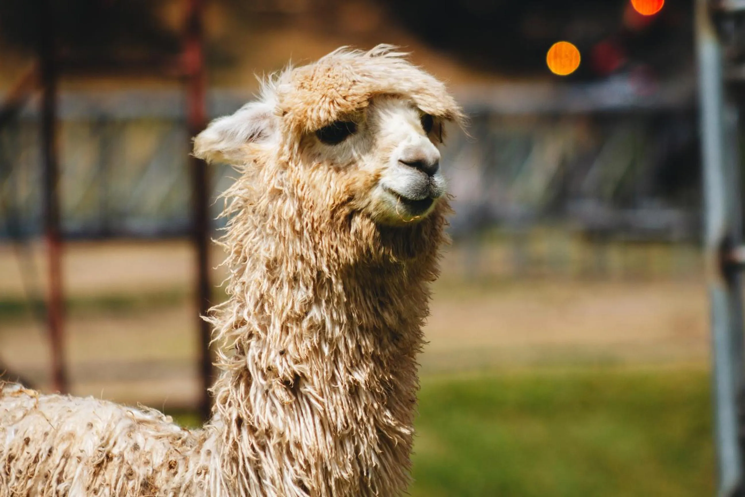 Hacienda del Valle Sagrado