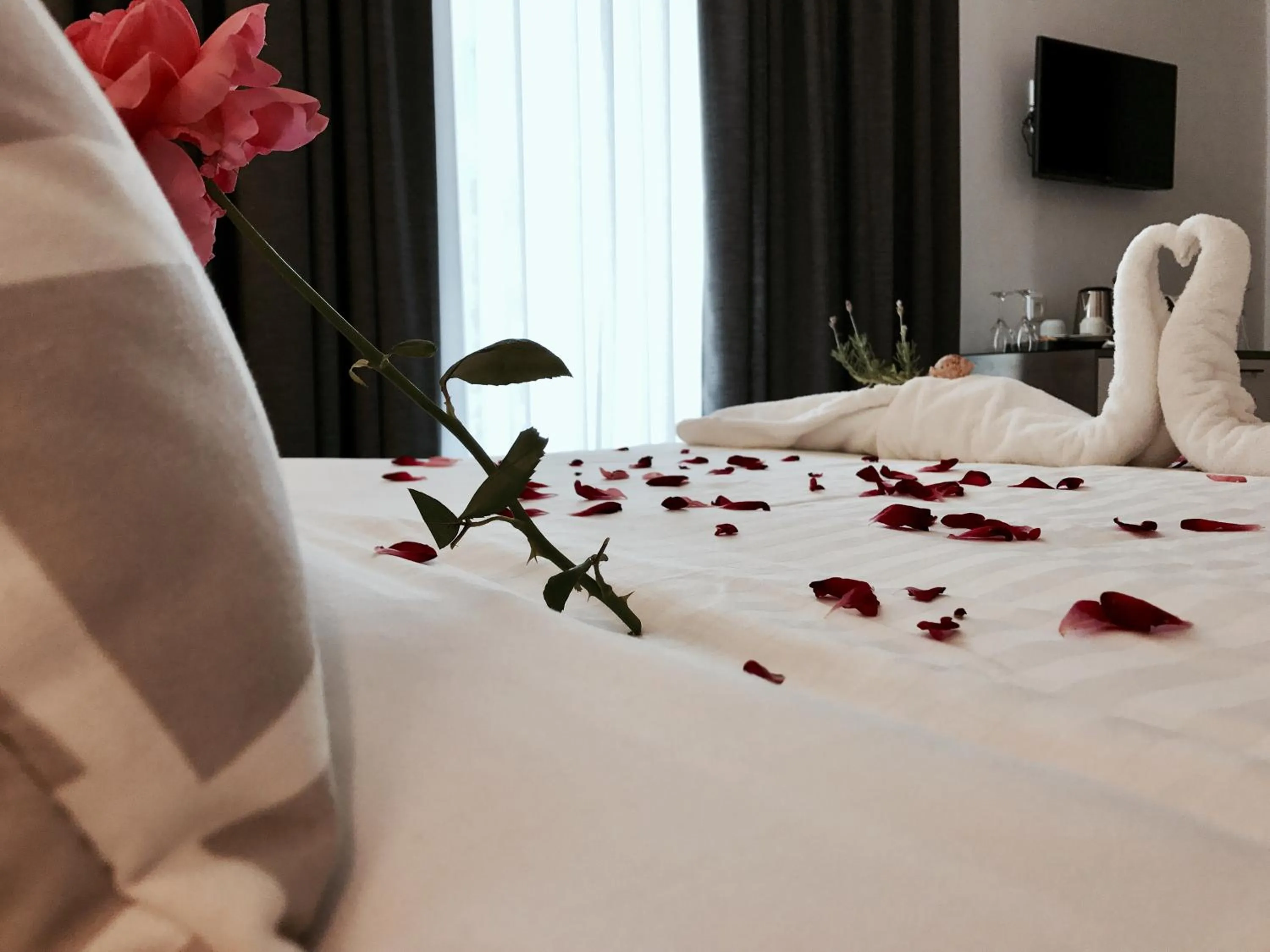 Decorative detail in IONIAN SUITES by Bruskos