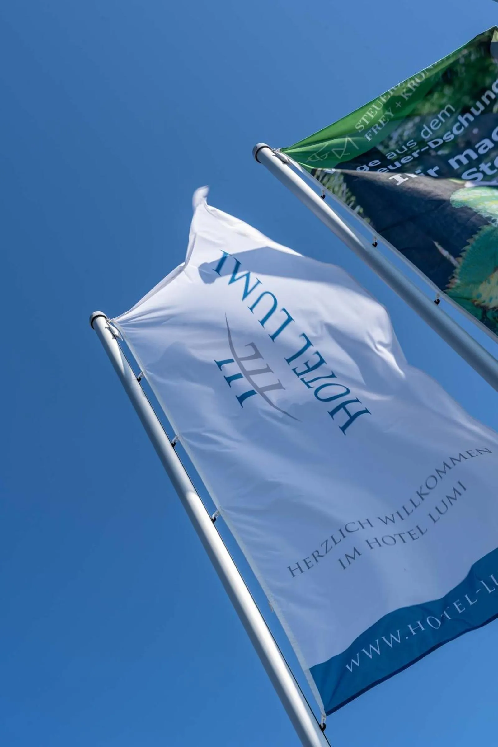 Area and facilities in Hotel Lumi