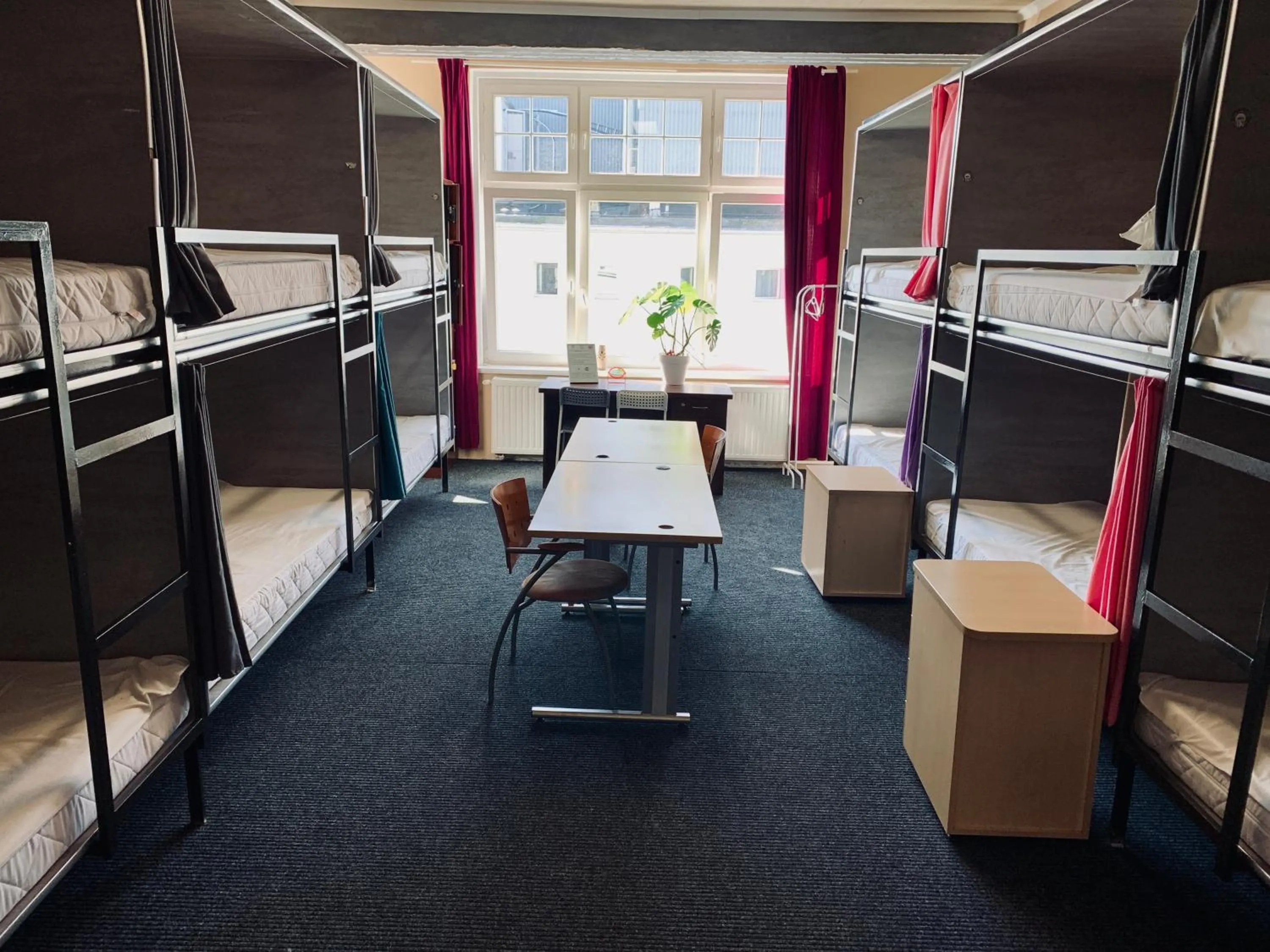 Bunk Bed in Female Dormitory Room   in Chilli Hostel