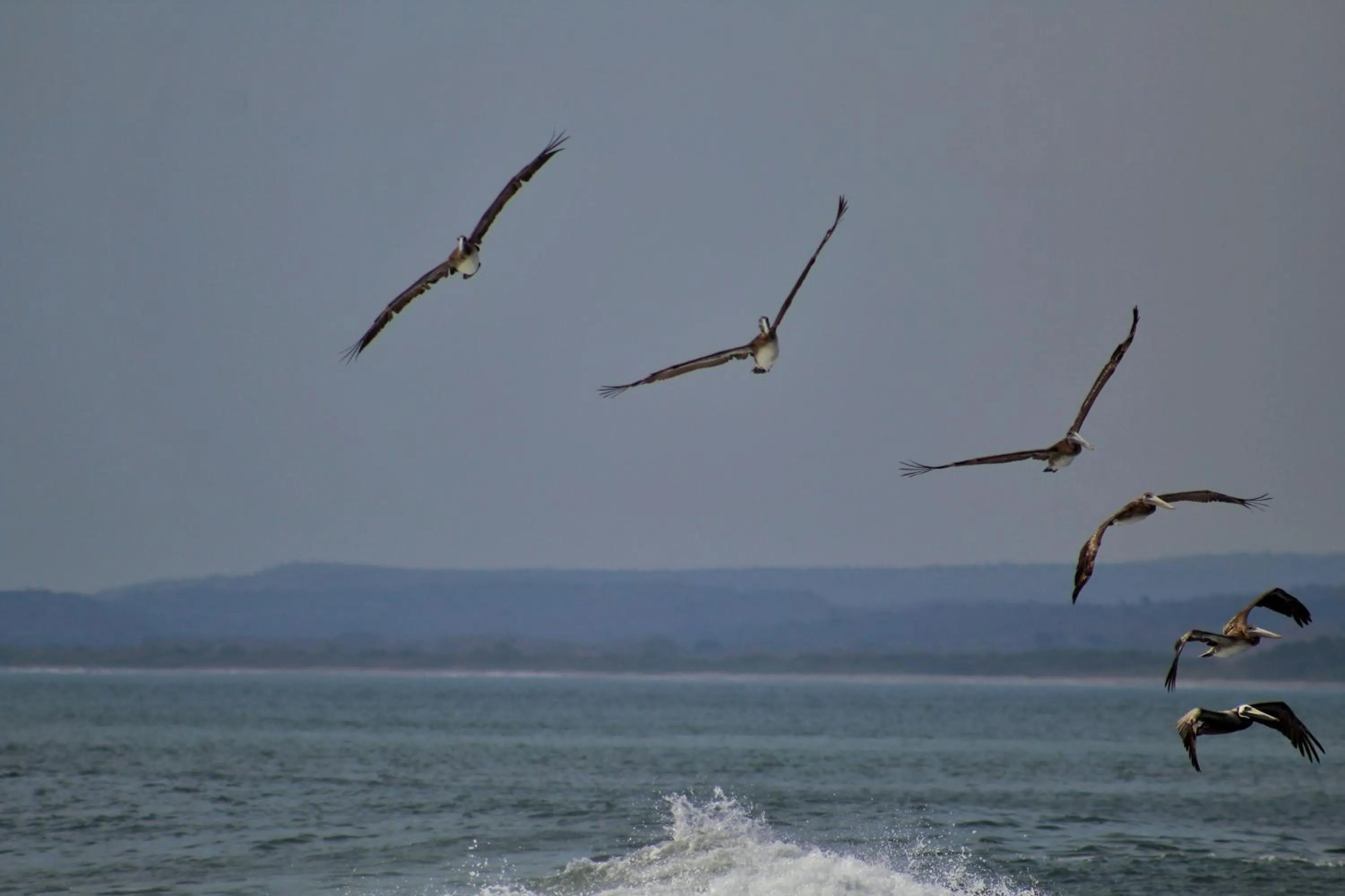 Suite Rivas 126 Gran Pacifica Resort