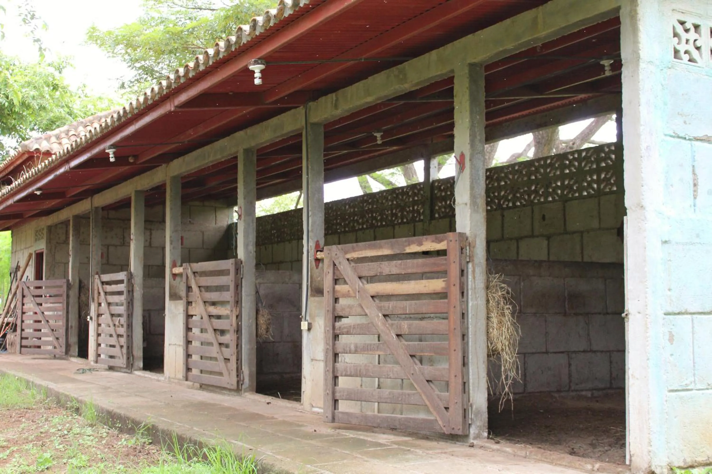 Horse-riding in Suite Rivas 126 Gran Pacifica Resort