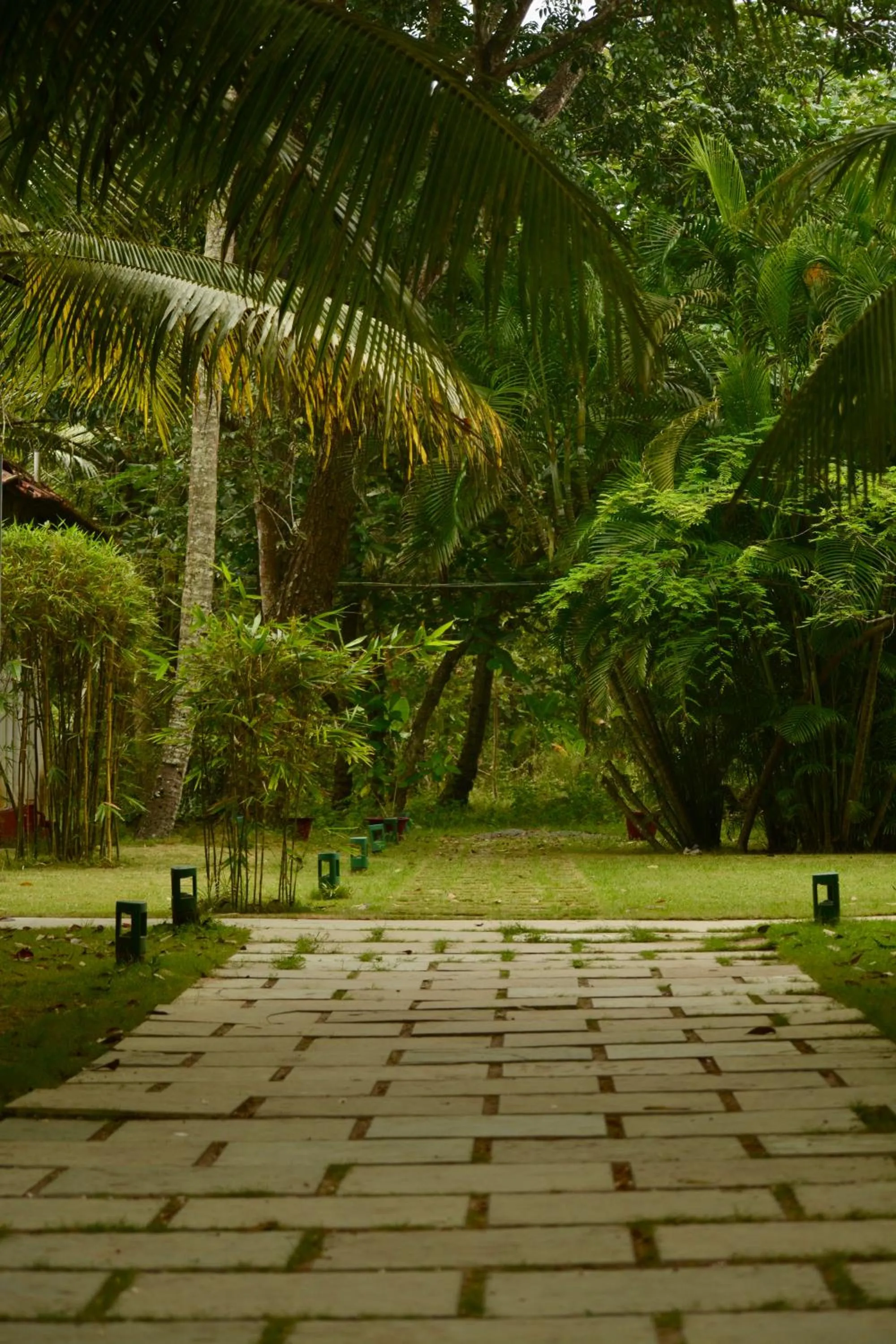 Seclude Kerala, Marari Sands