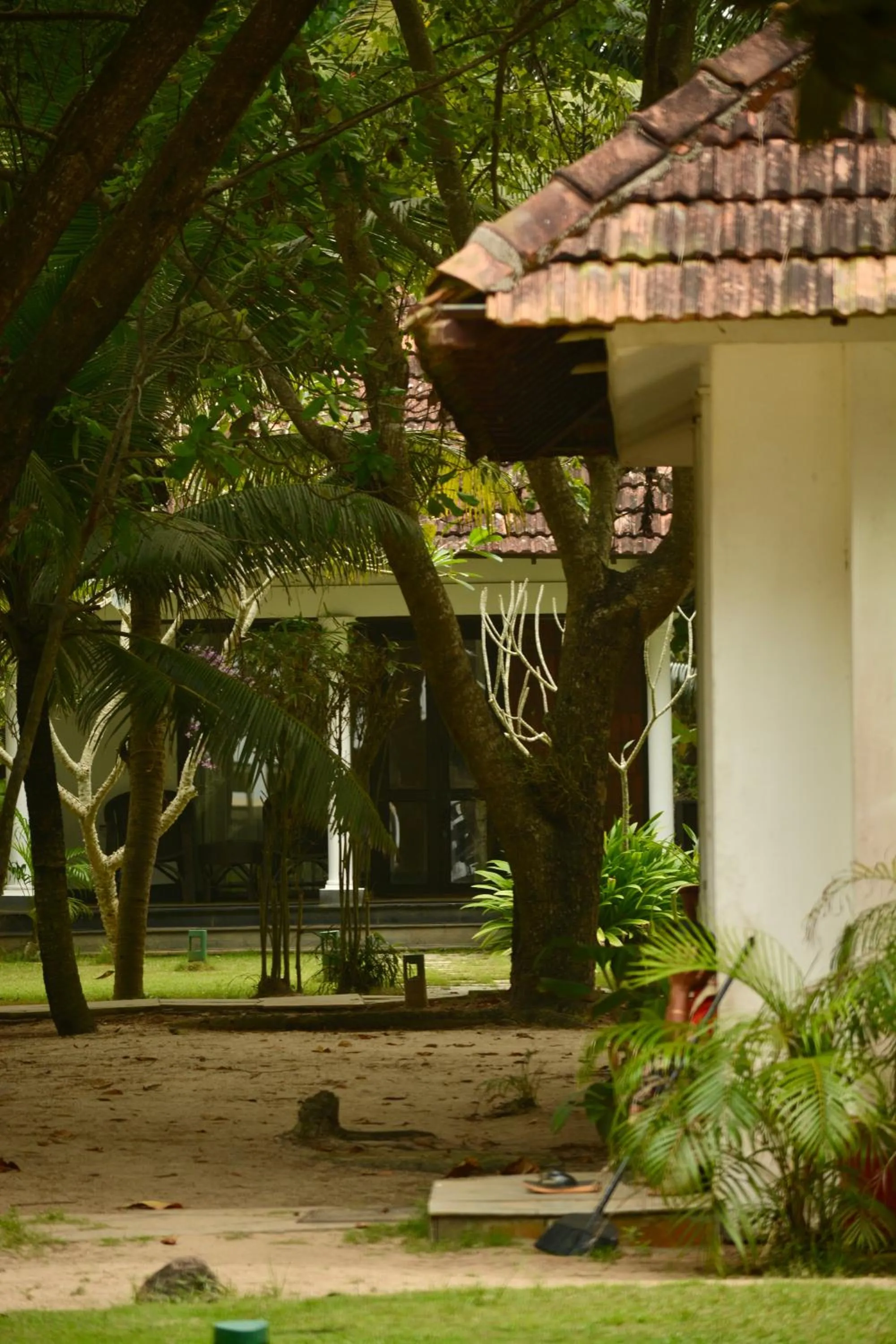 Seclude Kerala, Marari Sands