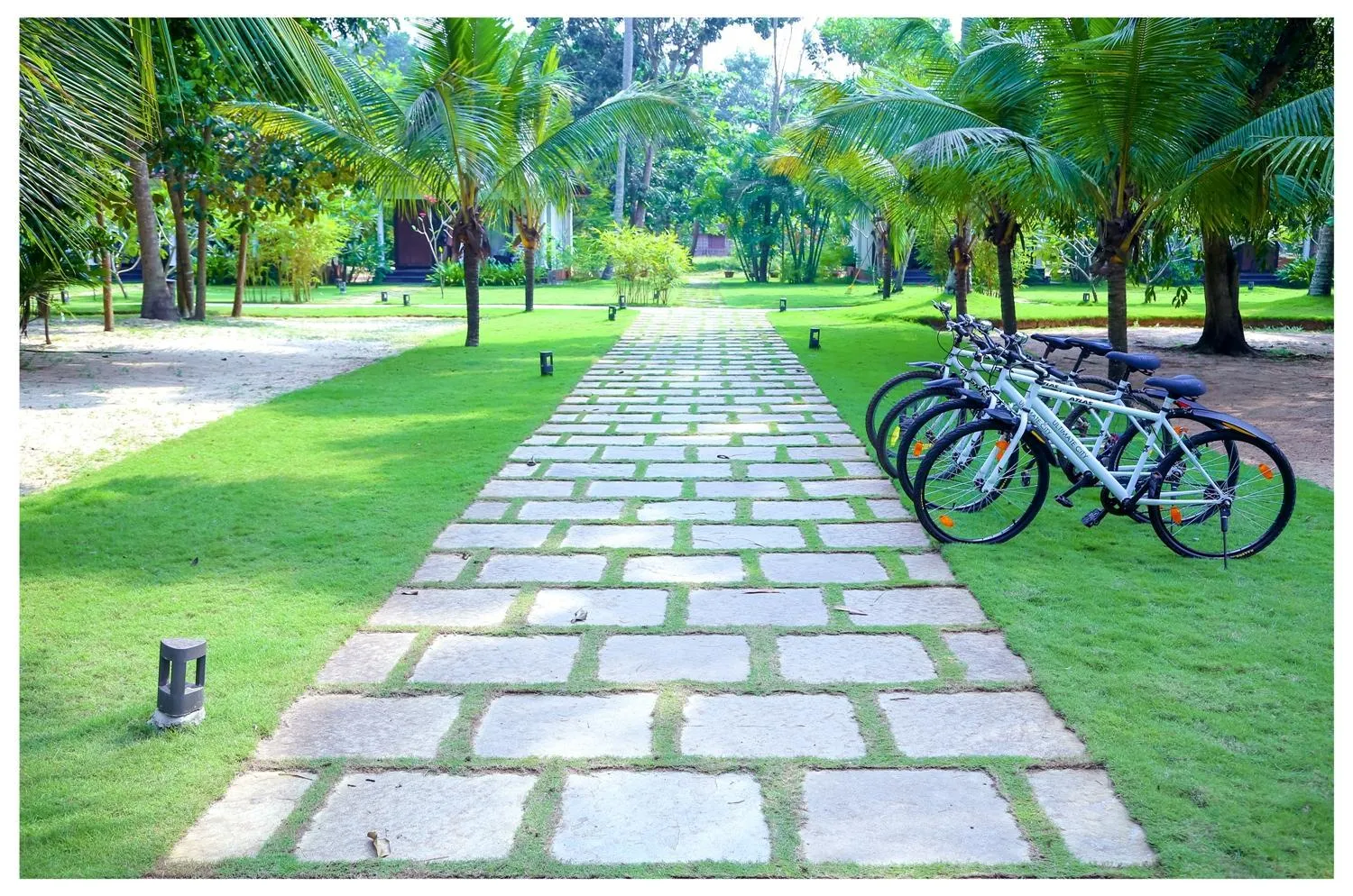 Garden view in Seclude Kerala, Marari Sands