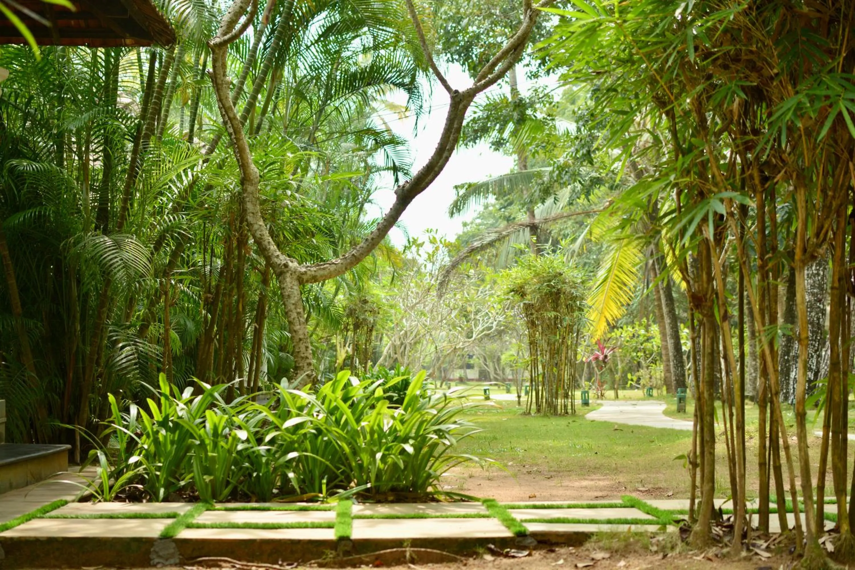 Seclude Kerala, Marari Sands