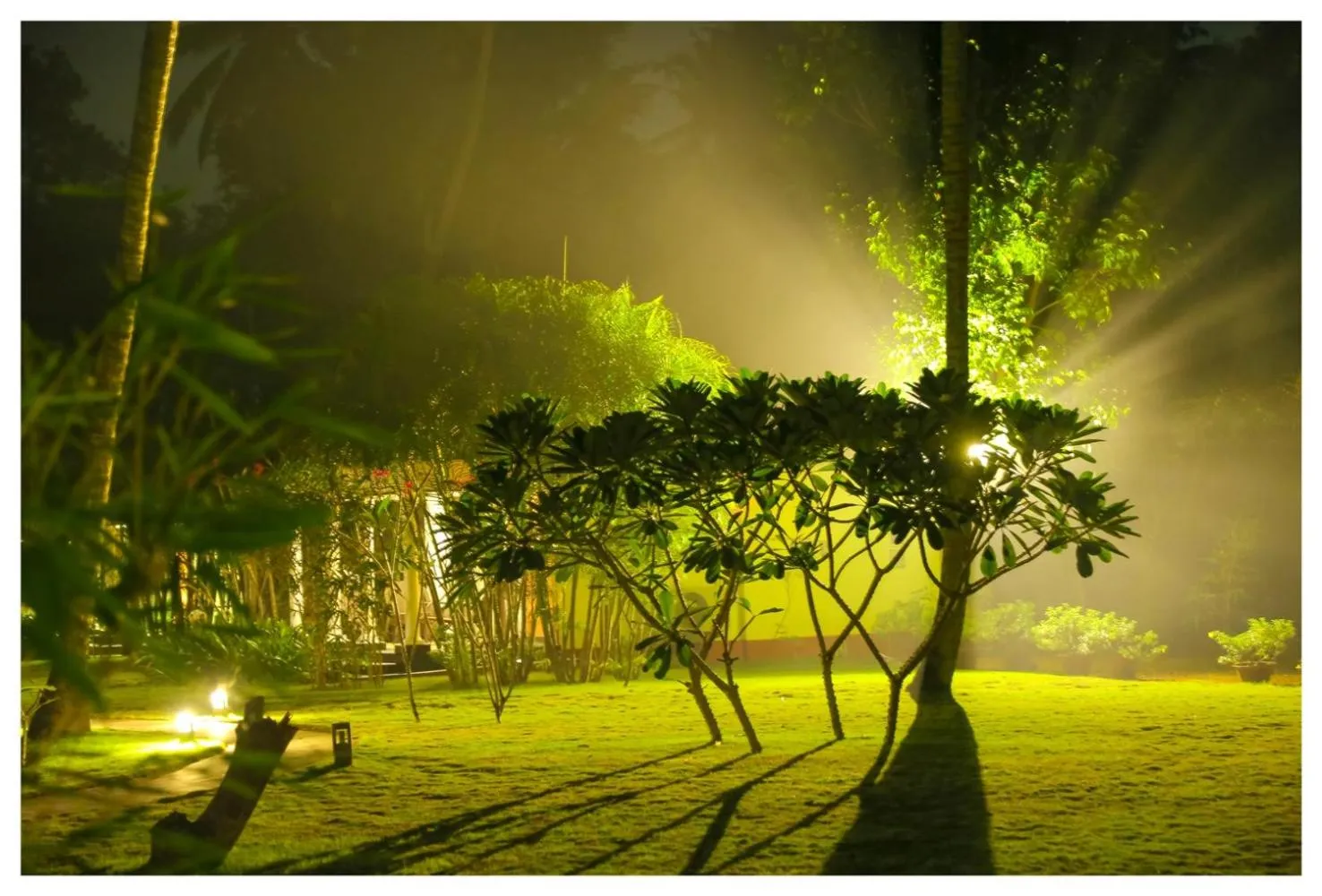 Garden in Seclude Kerala, Marari Sands