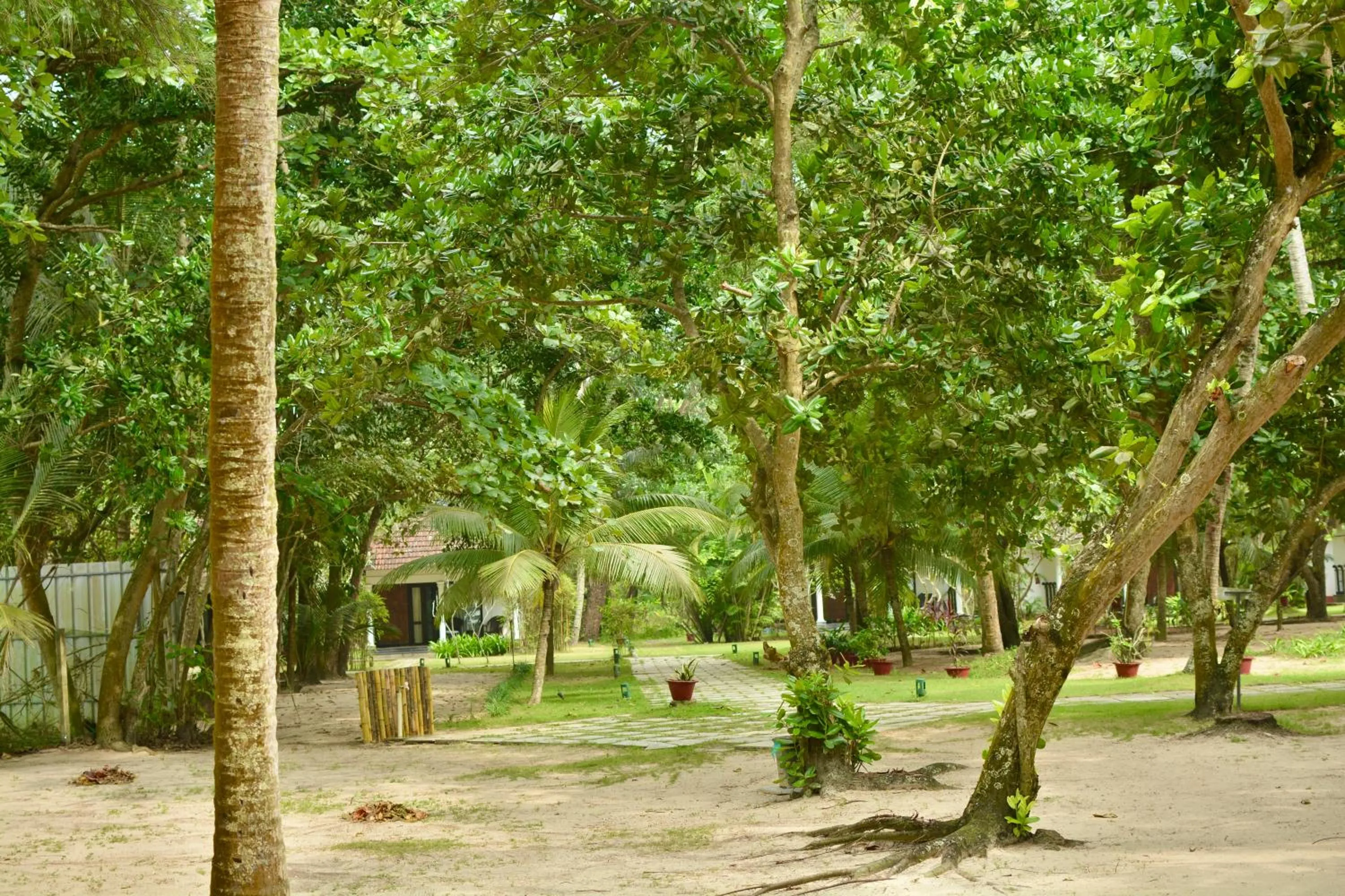 Seclude Kerala, Marari Sands