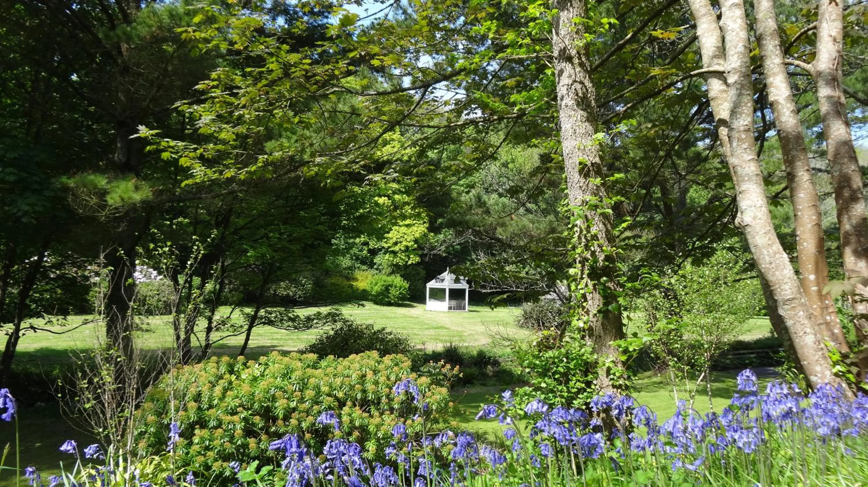Spring in Rose in Vale Country House Hotel