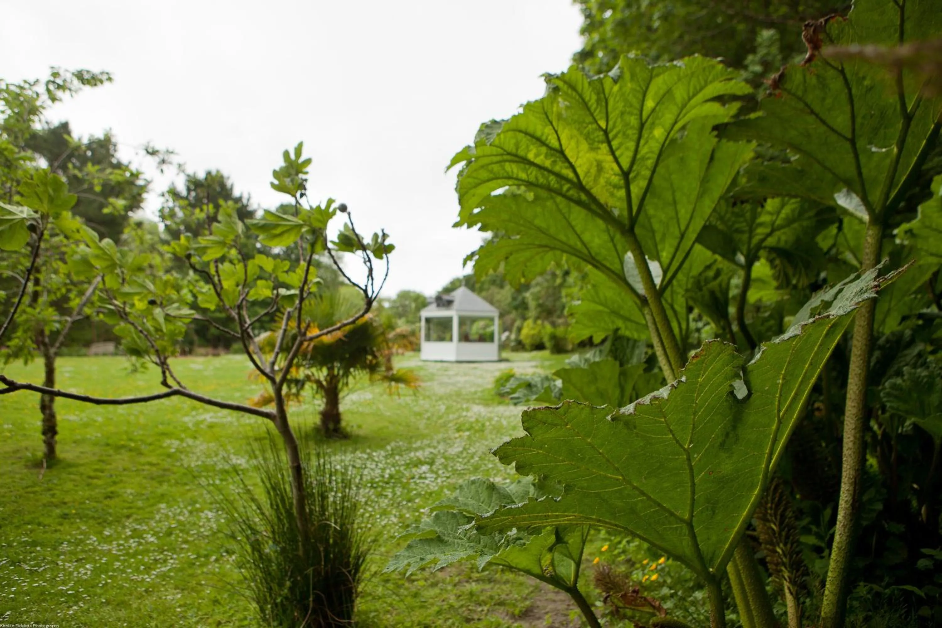Garden in Rose in Vale Country House Hotel